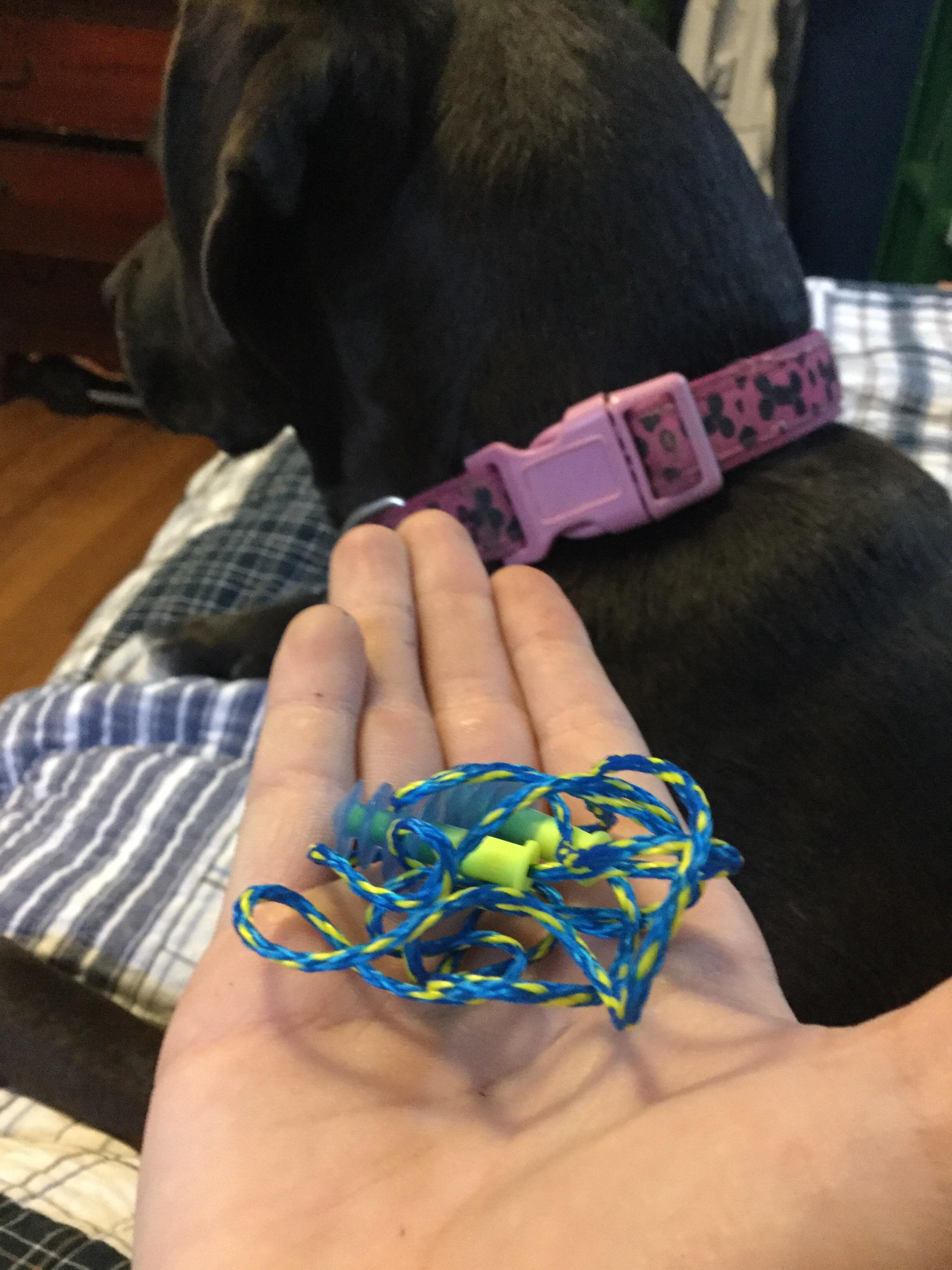 Earplugs Misophonia at Mark Slattery blog