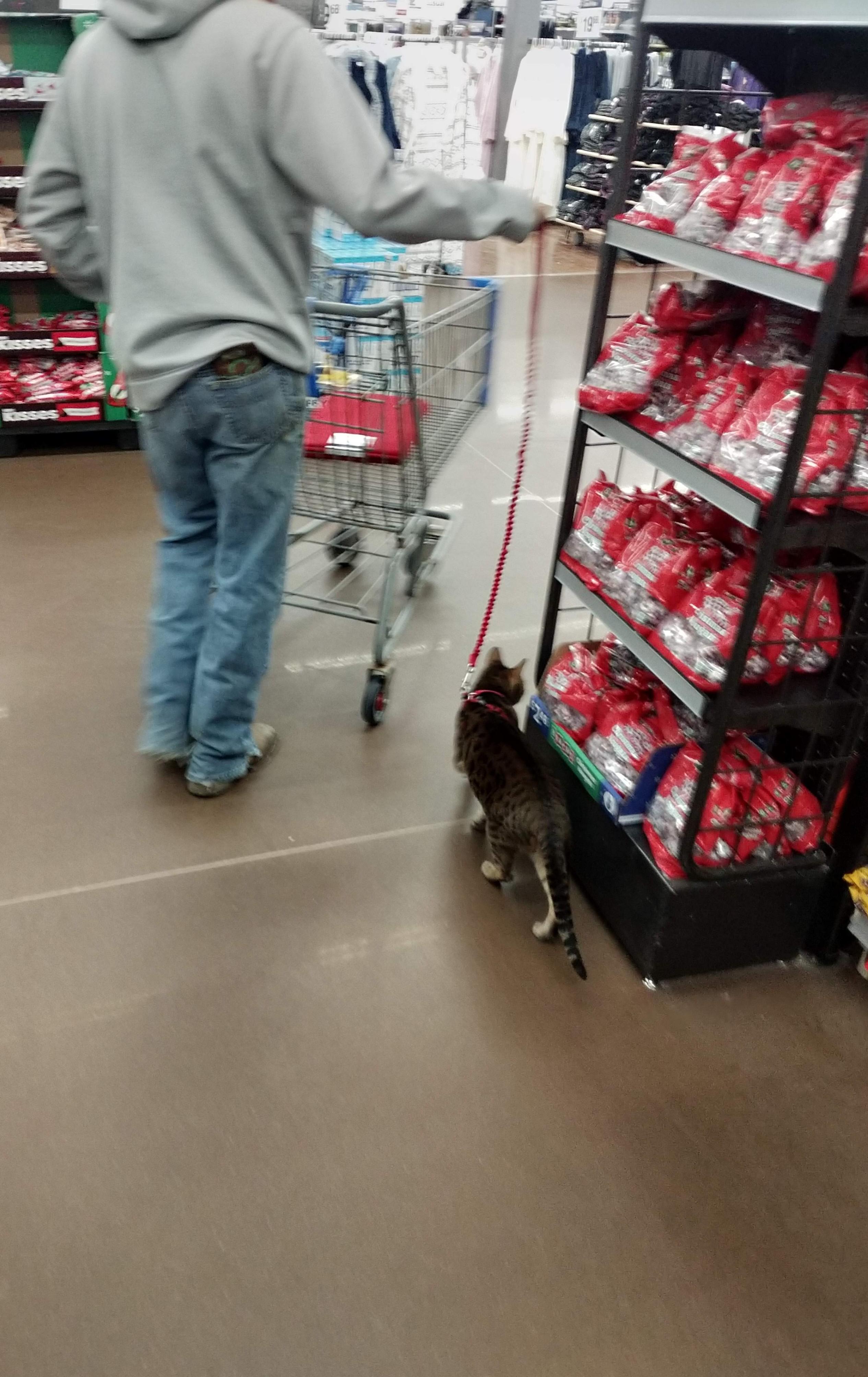 My favorite Walmart visit ever basically. r/peopleofwalmart