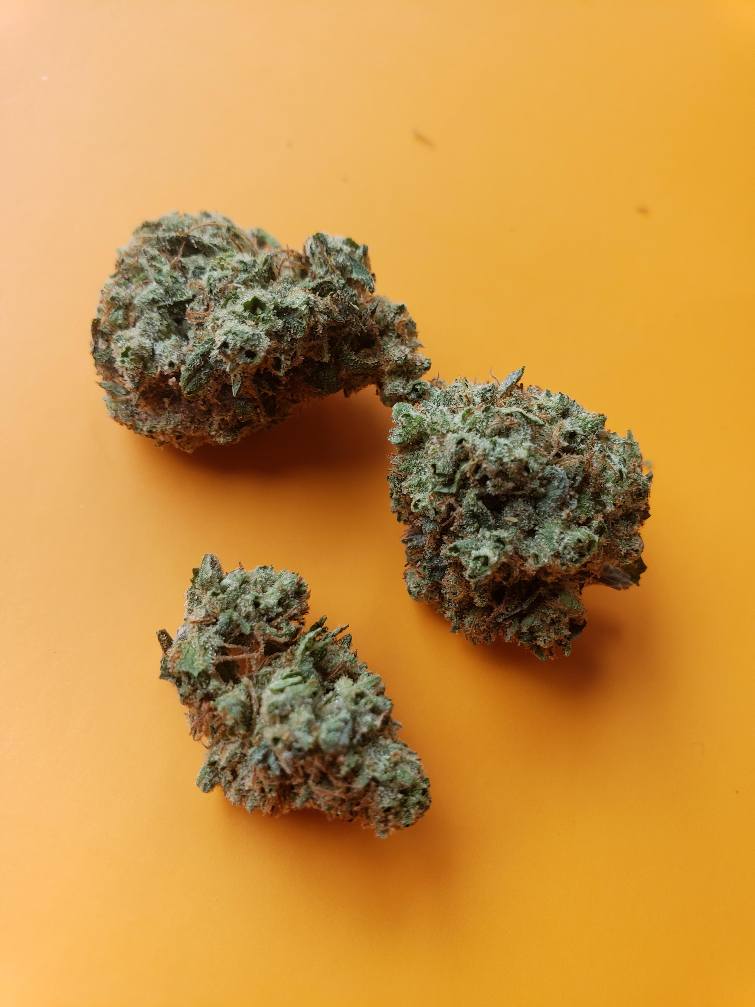 Double Durban Kush NGW r/ILTrees