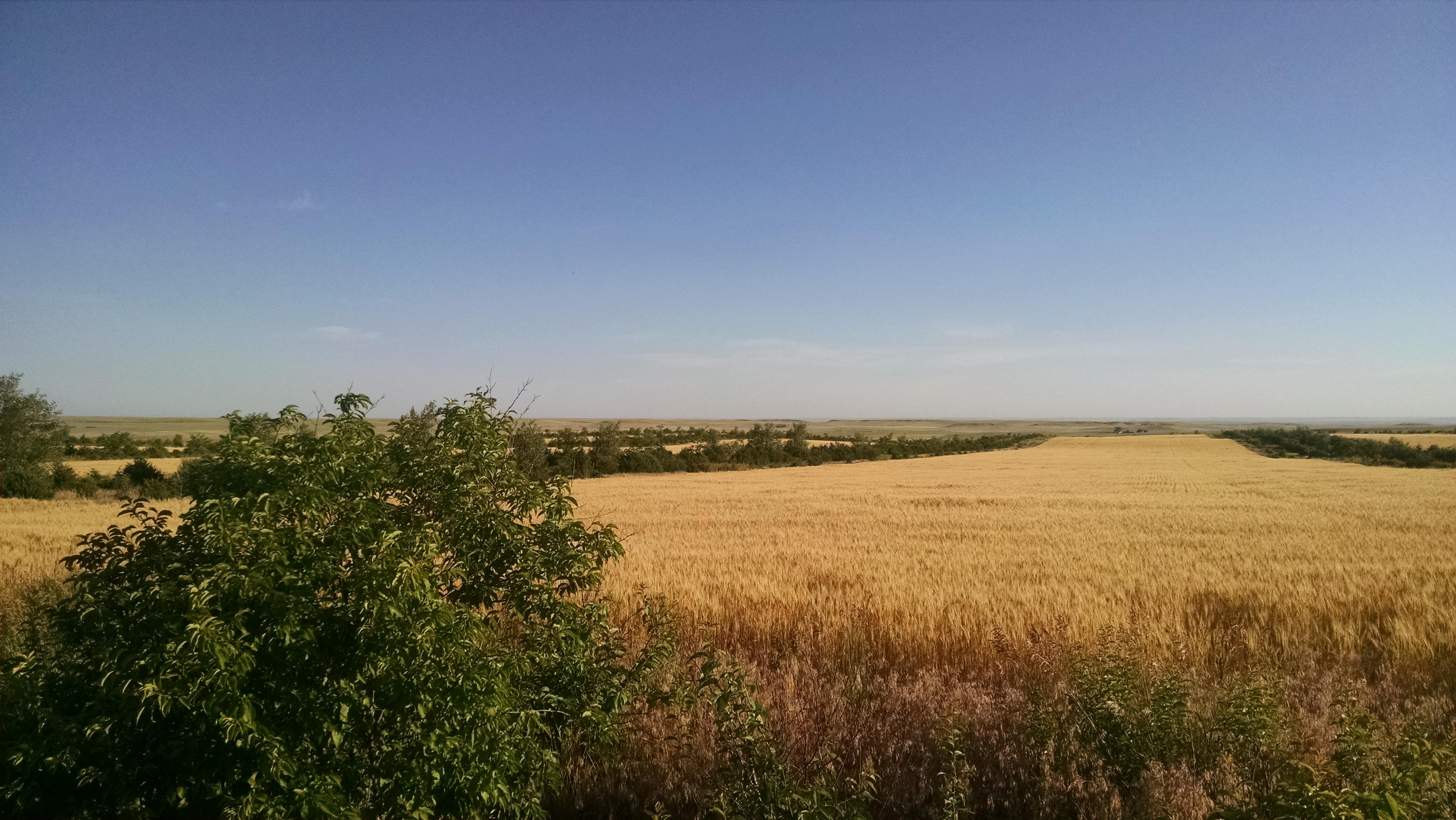 Western Nebraska hunting land for sale 1400 acres owner will split into