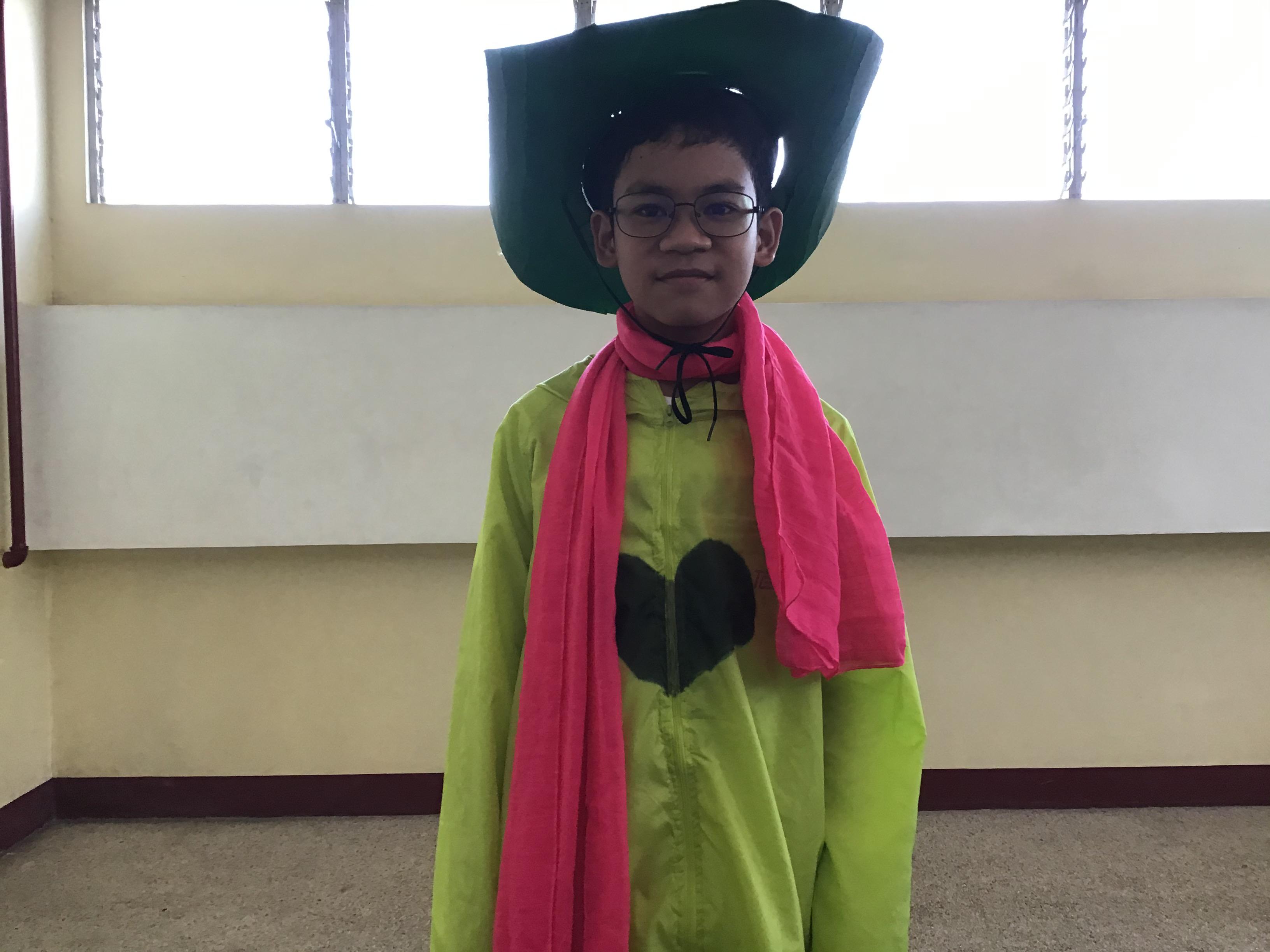 Low Budget Ralsei Costume the hat is cardboard btw ralsei