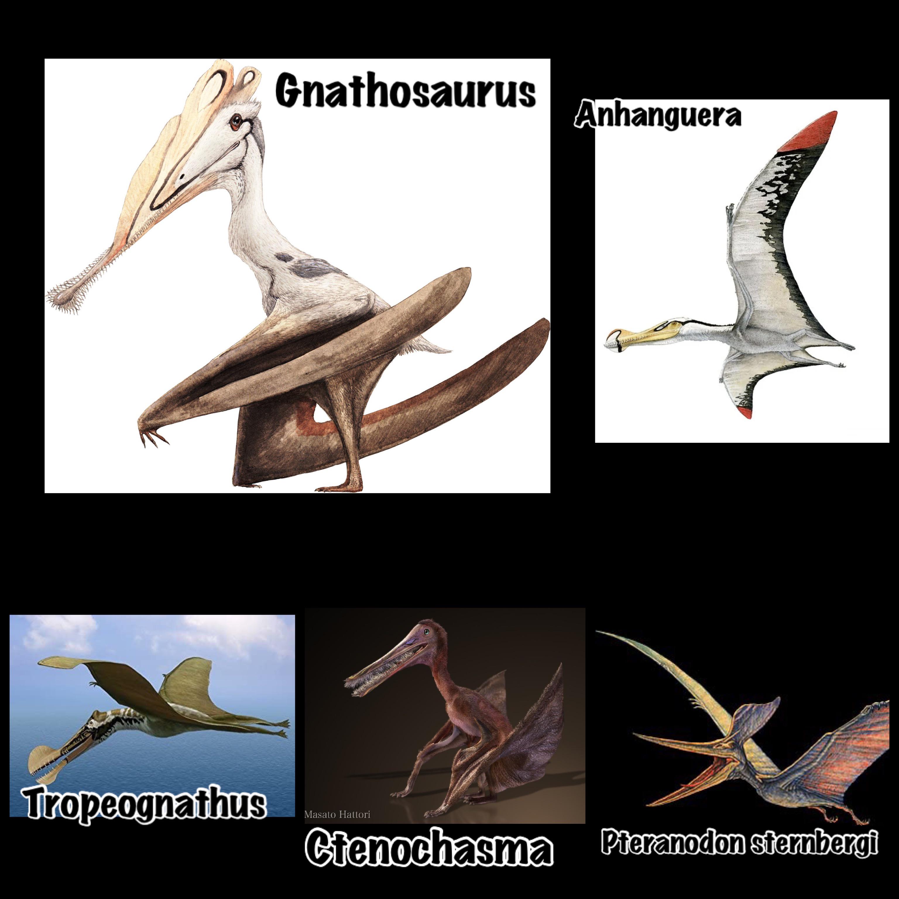 Some really Unique Flying reptiles that could be in JWE2. Put some you