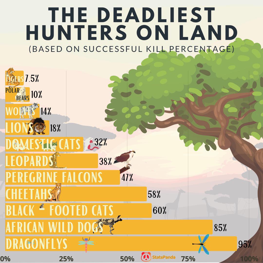[OC] The Deadliest Hunters On Land r/coolguides