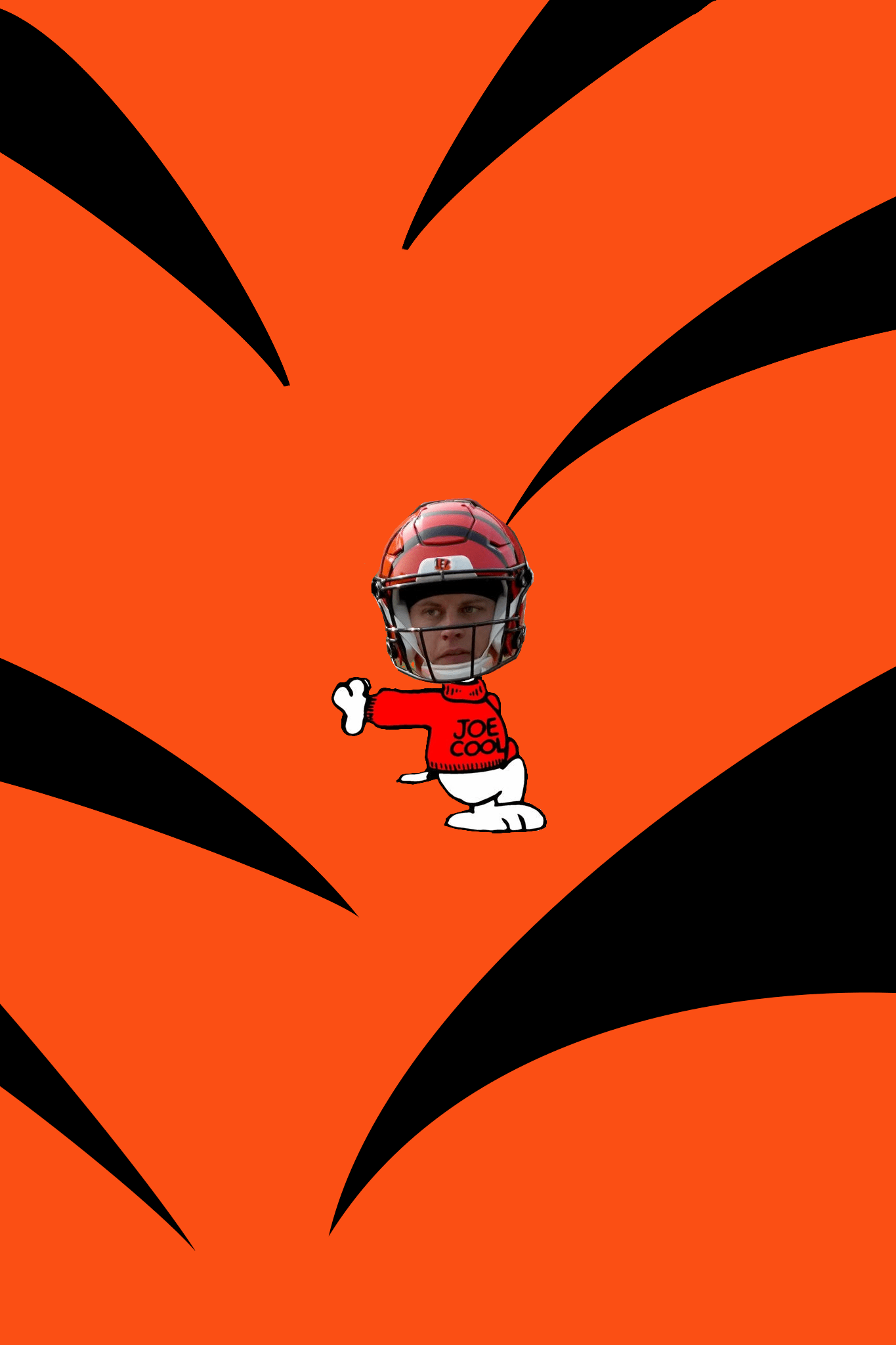 Joe Cool r/bengals
