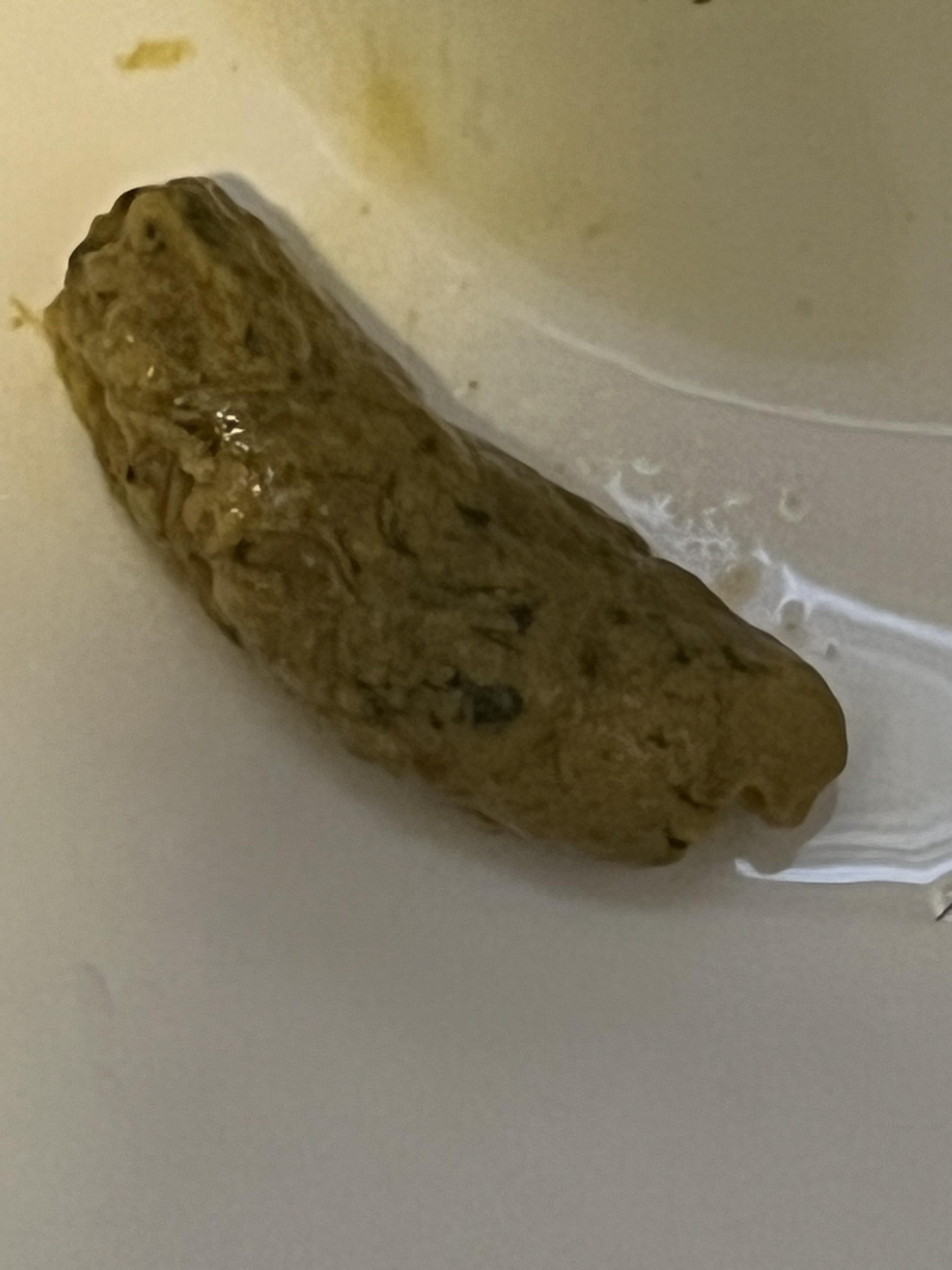 GREEN TURD what do you think r/poop