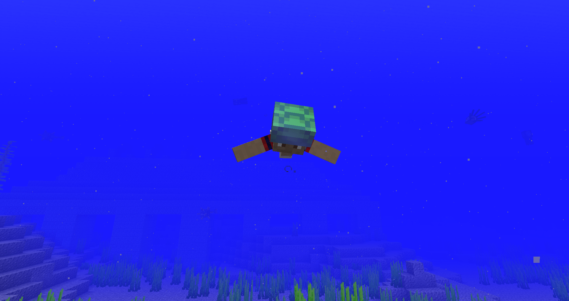 Swimming now actually looks like swimming r/Minecraft