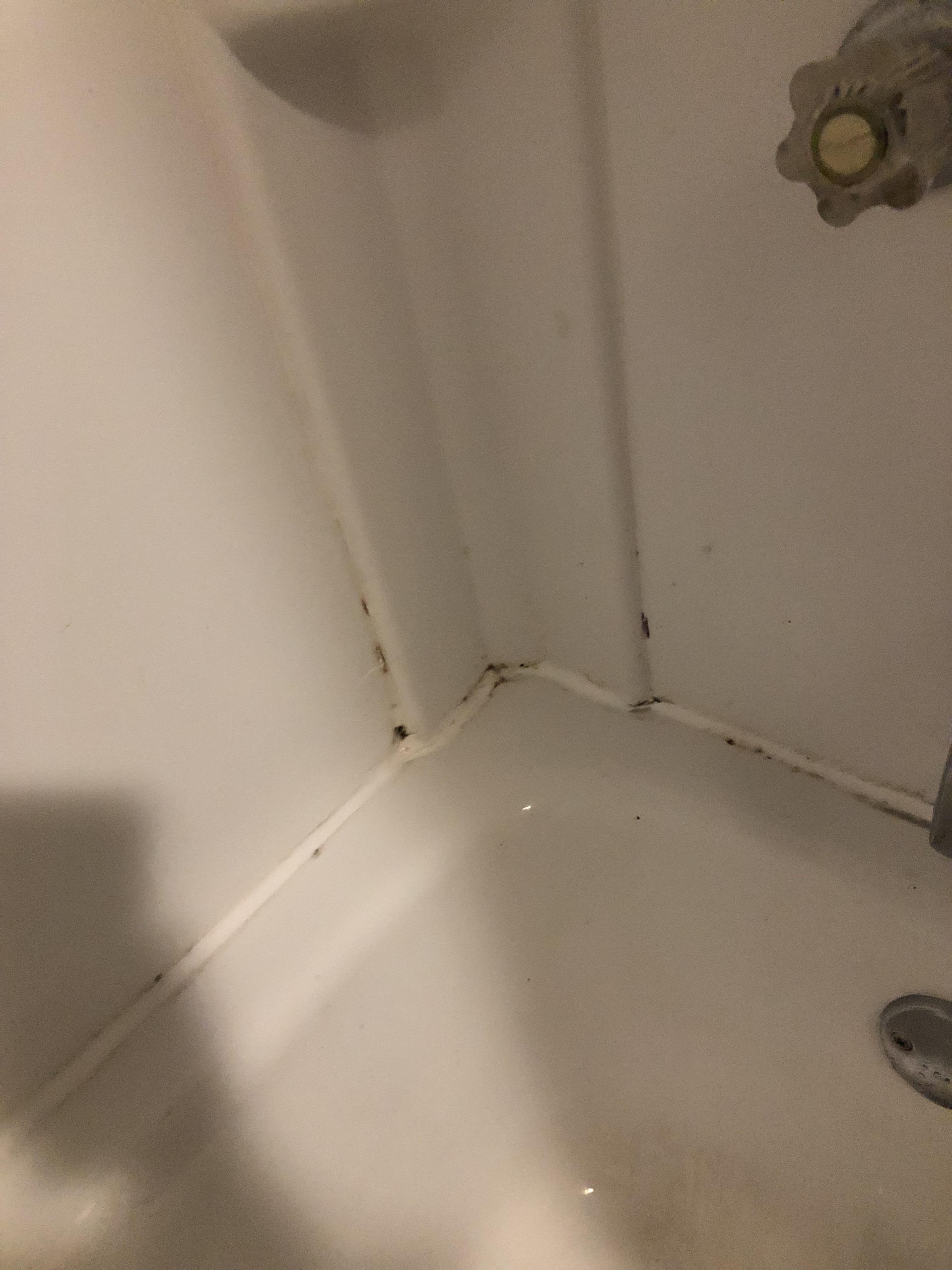 I’m cleaning a disgusting bathtub. Any tips on what I can do from