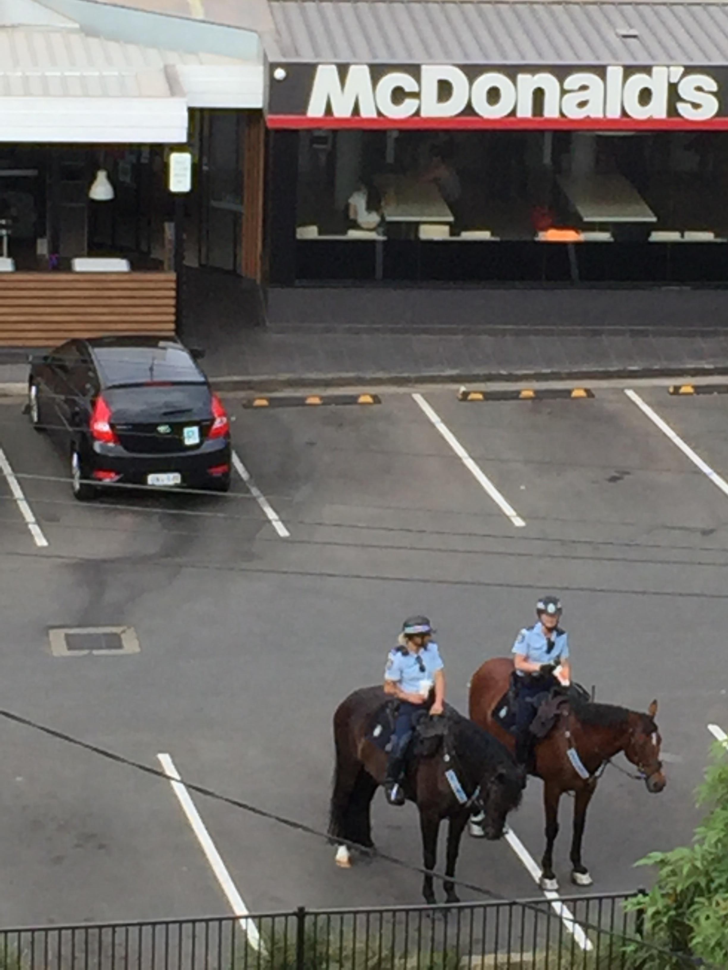 Cops on horses going through Macca’s drive thru for Coke. r/australia