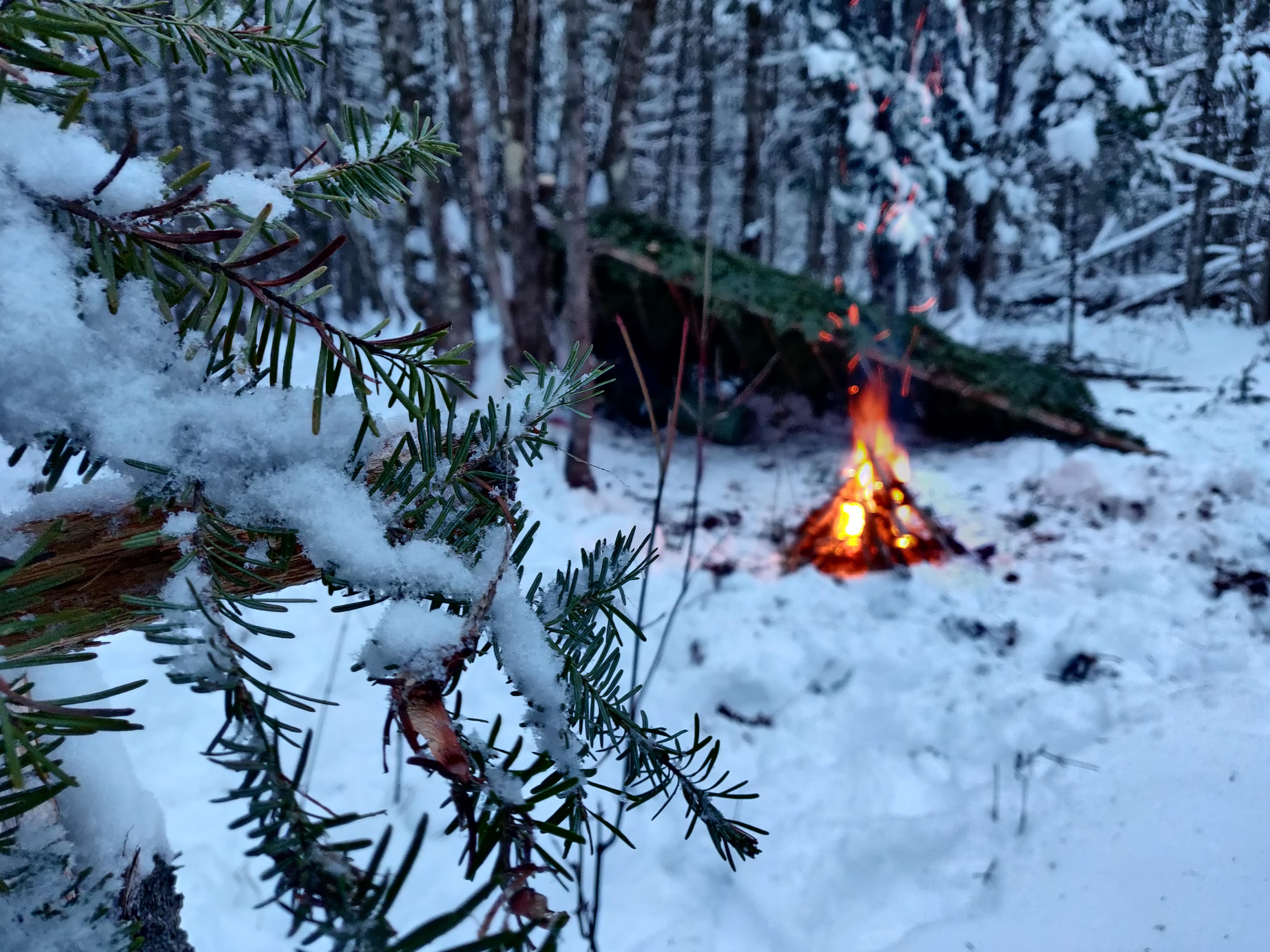 Winter Camping ALONE. Anyone else camp like this? r/camping