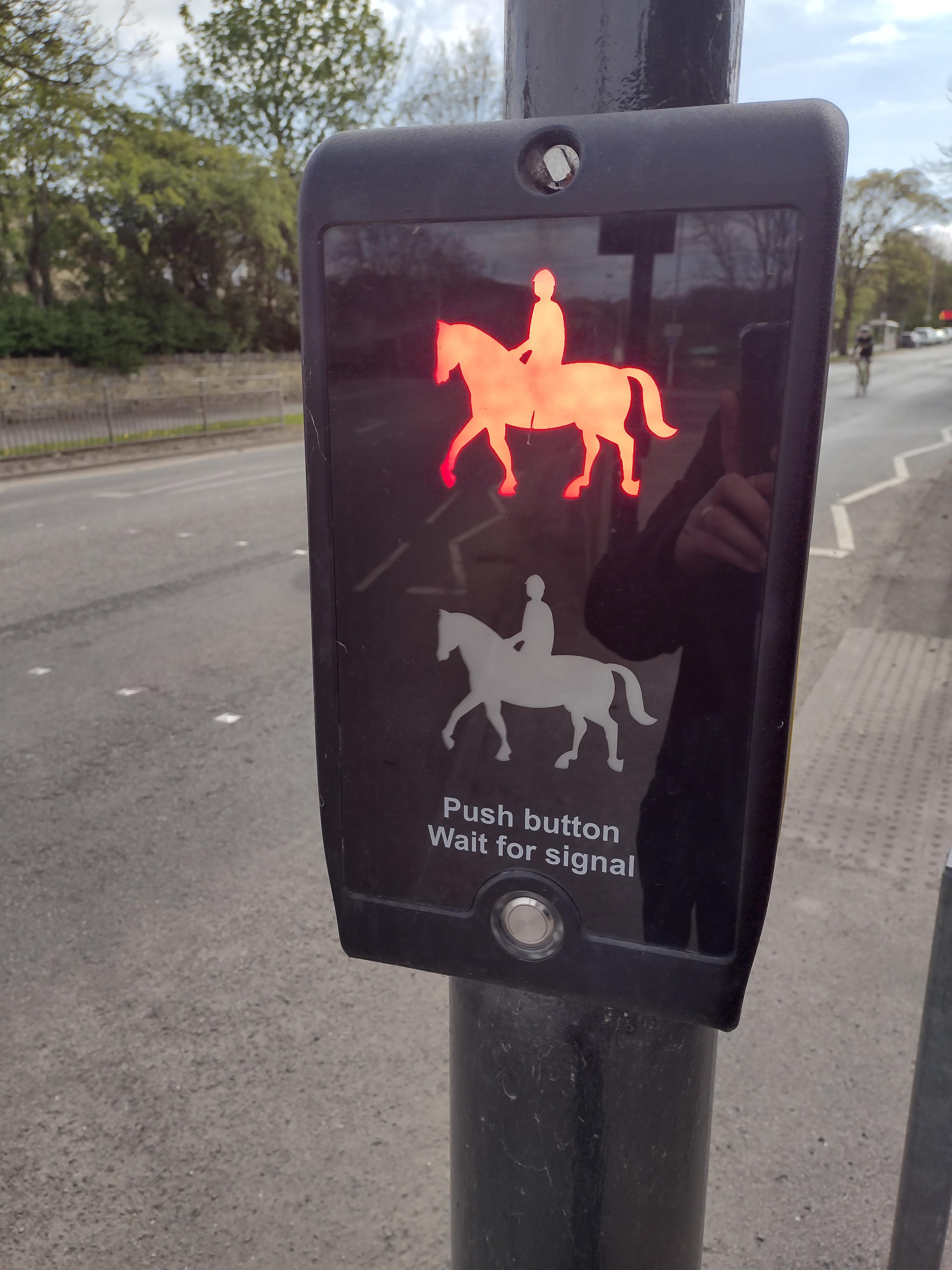 Equestrian Crossing, seen in Yorkshire. r/mildlyinteresting
