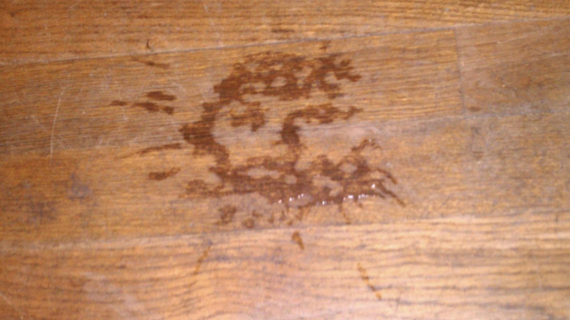 Spilled water on the floor and this “face” showed up. r/Pareidolia
