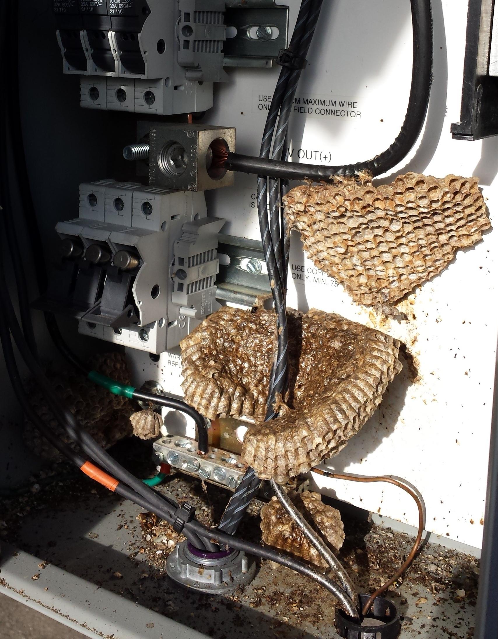 One more reason to seal your outdoor panels and boxes. r/electricians