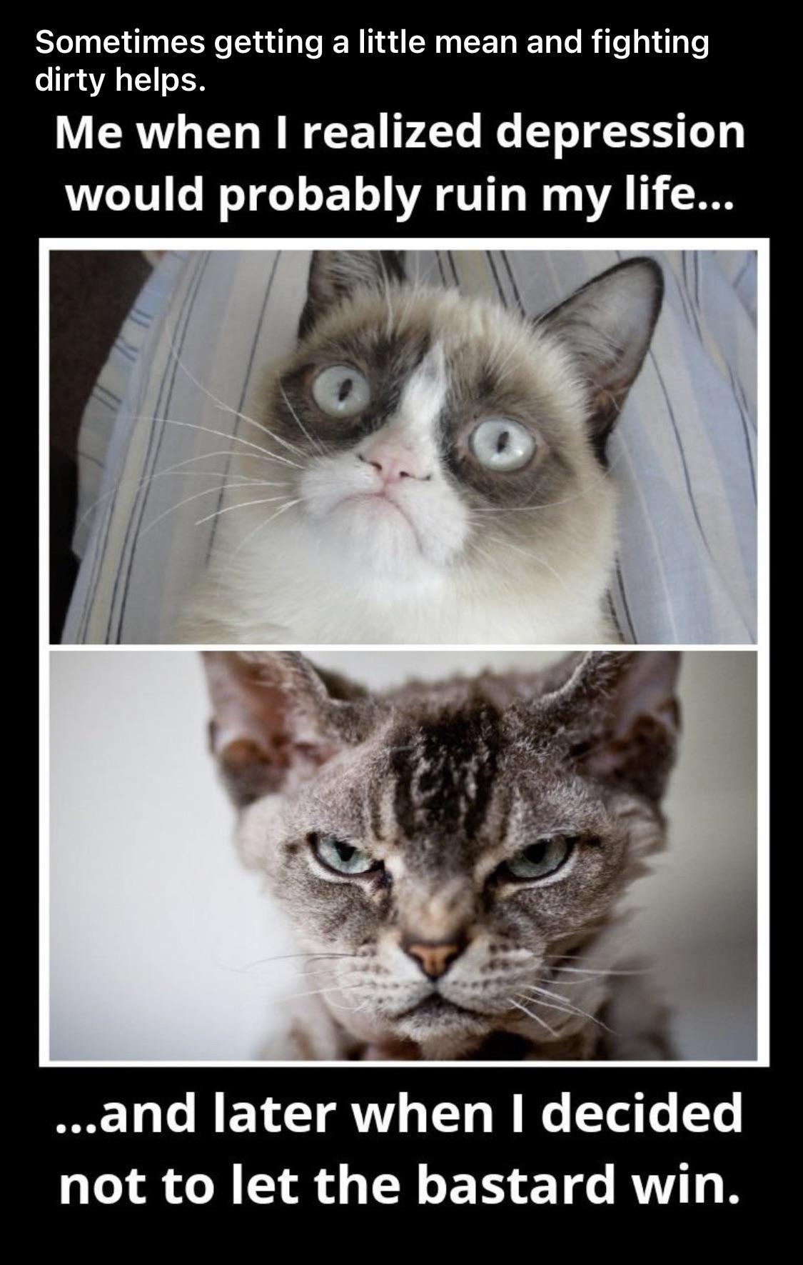 They did Grumpy Cat dirty r/im14andthisisdeep