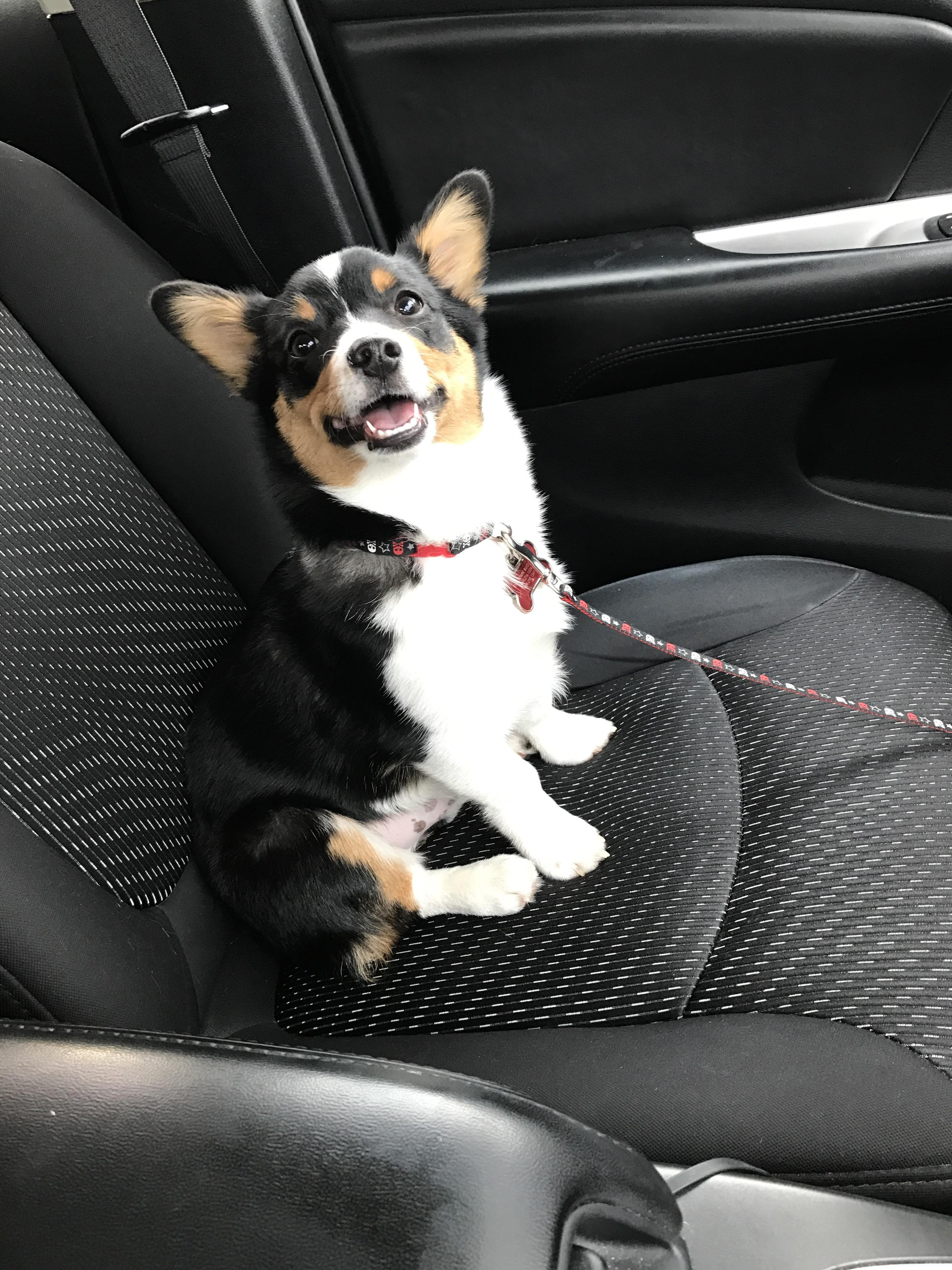 in the driver’s seat!