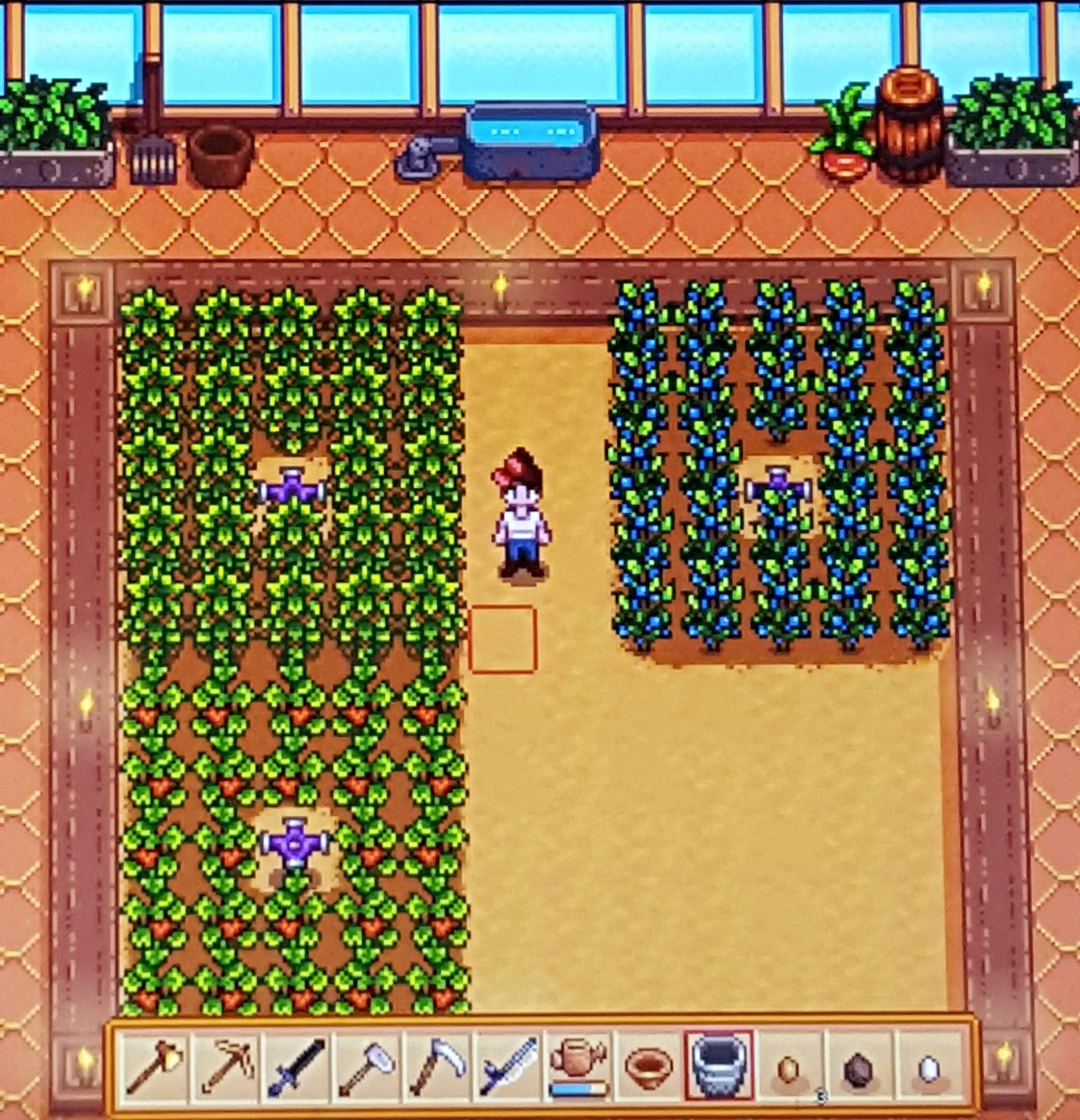 Stardew Valley Starfruit Vs Blueberry Starfruit is a crop in stardew