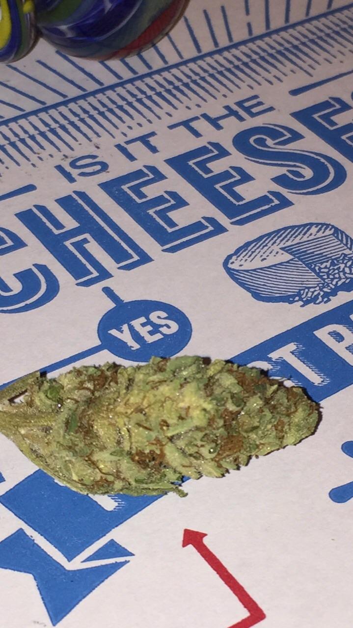 Some Blue Cheese I picked up 70 a quarter in an illegal state r/trees