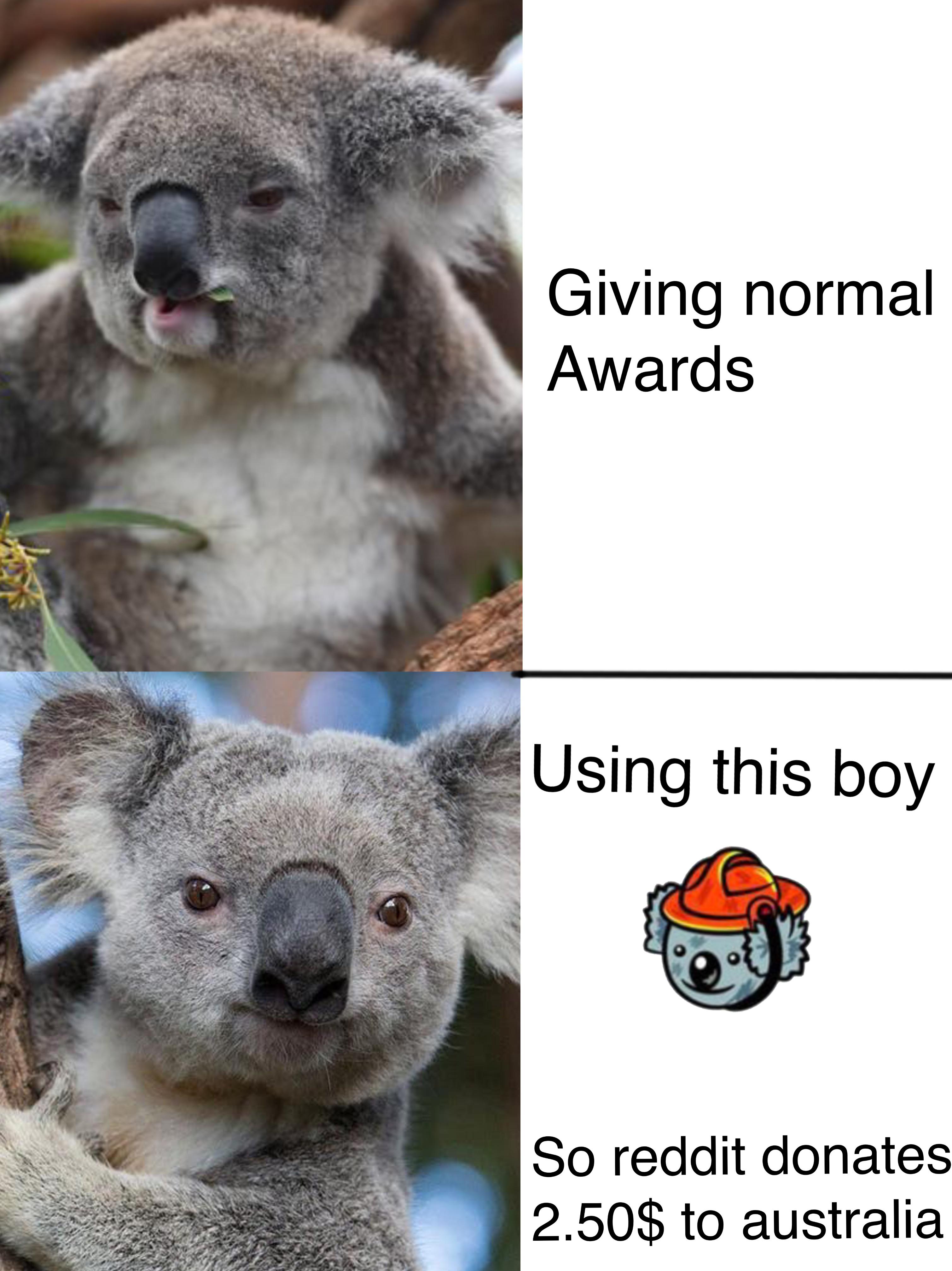 Thanks, I love the Koala award! r/TILI