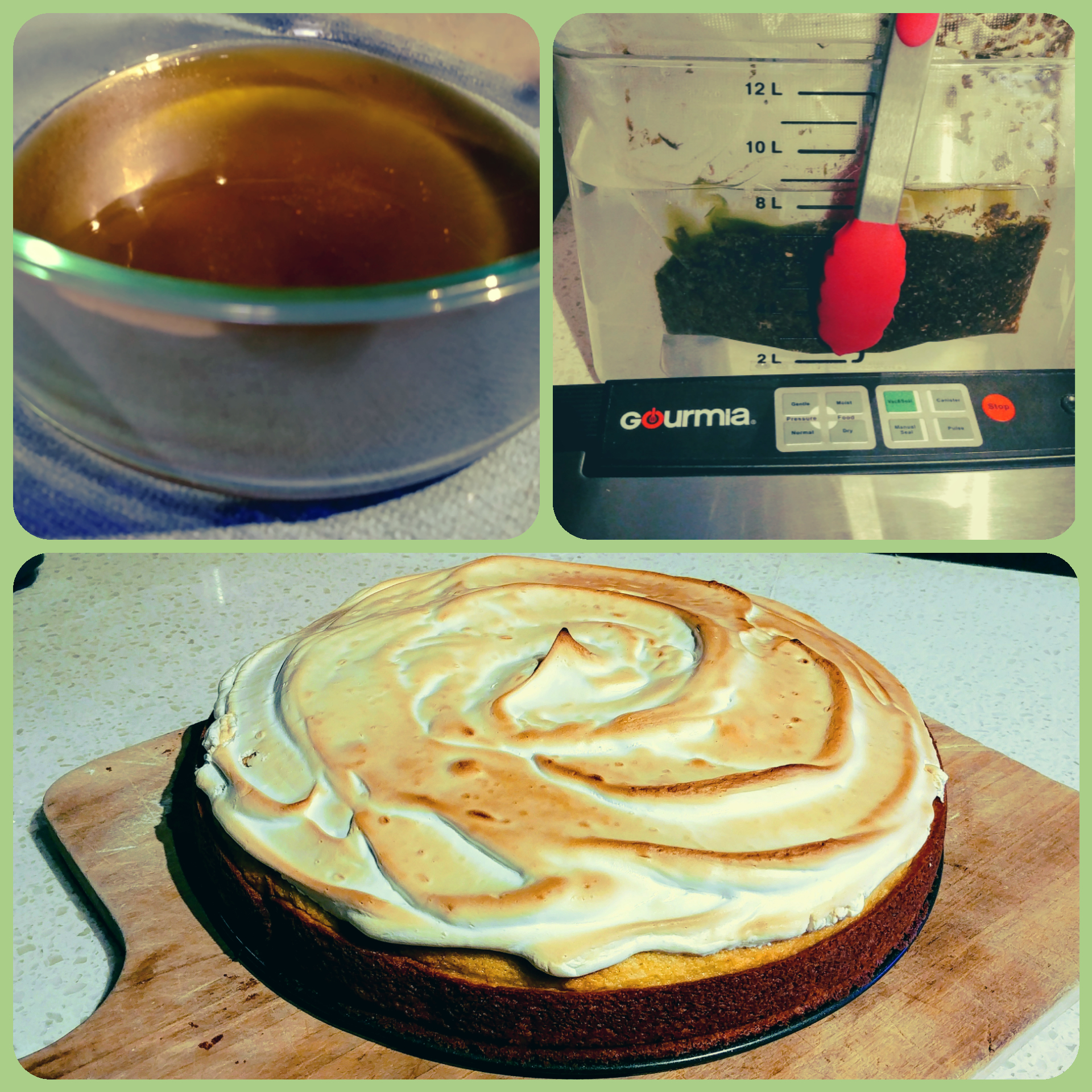 'Toasted' Marshmallow Sponge Cake r/trees