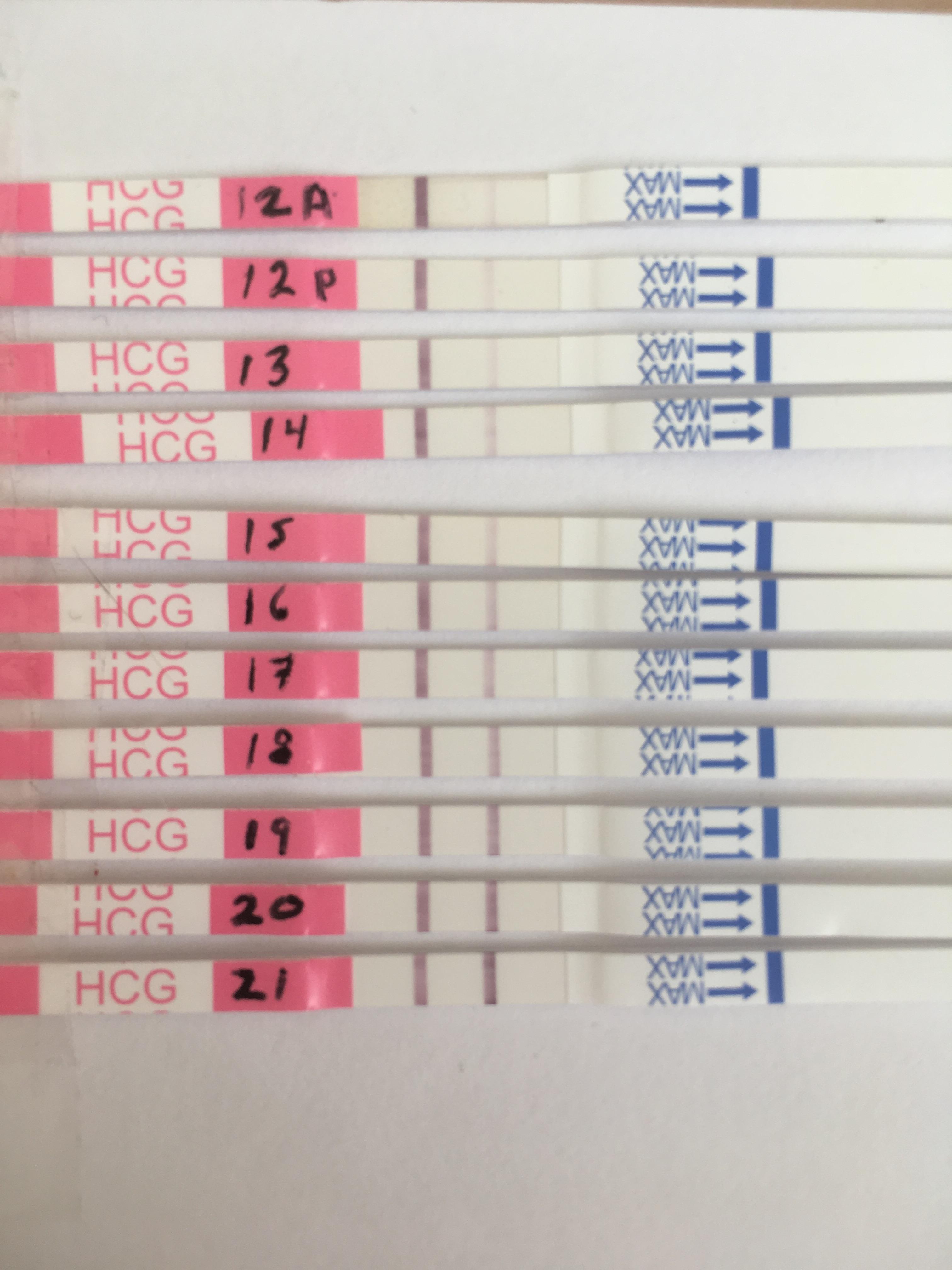 Clinicalguard Pregnancy Test Progression pregnancy test