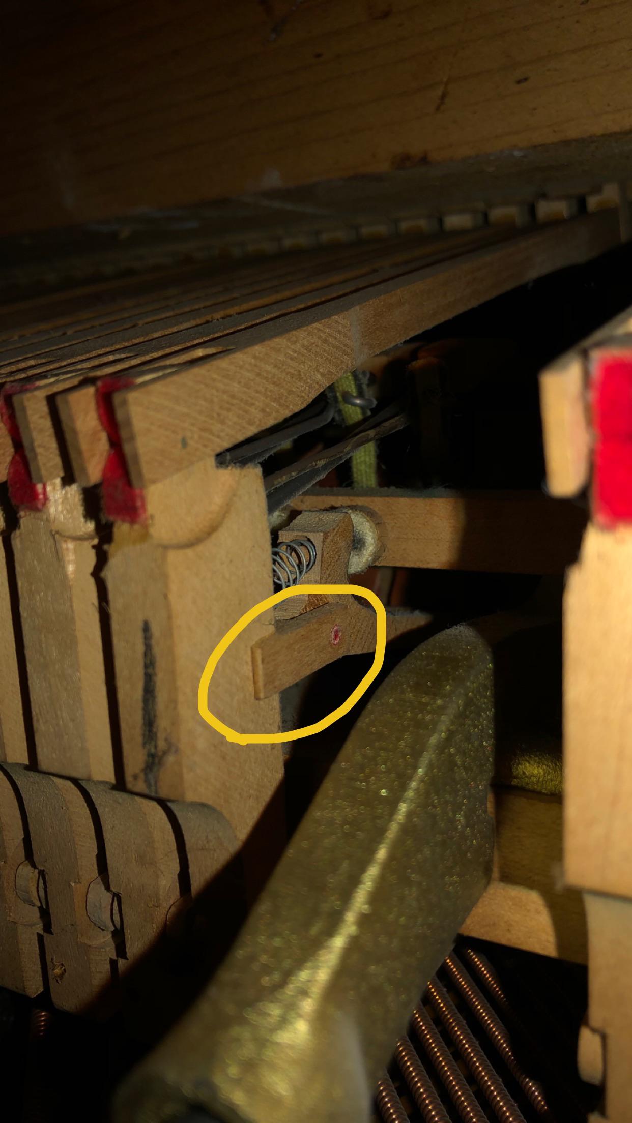 What is this part called? We have a few keys’ hammers not striking, and