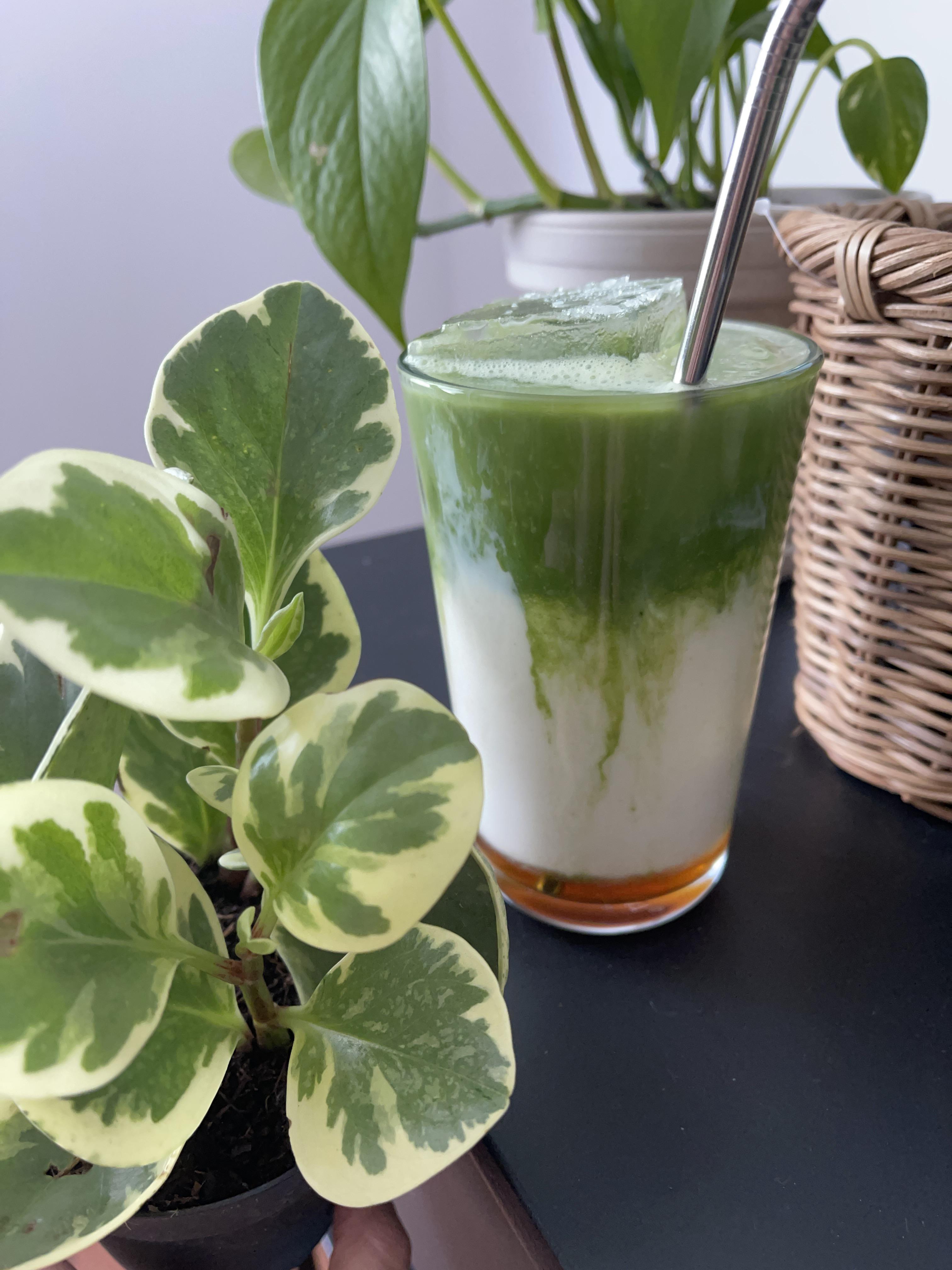 My tea matchas the plant r/houseplants