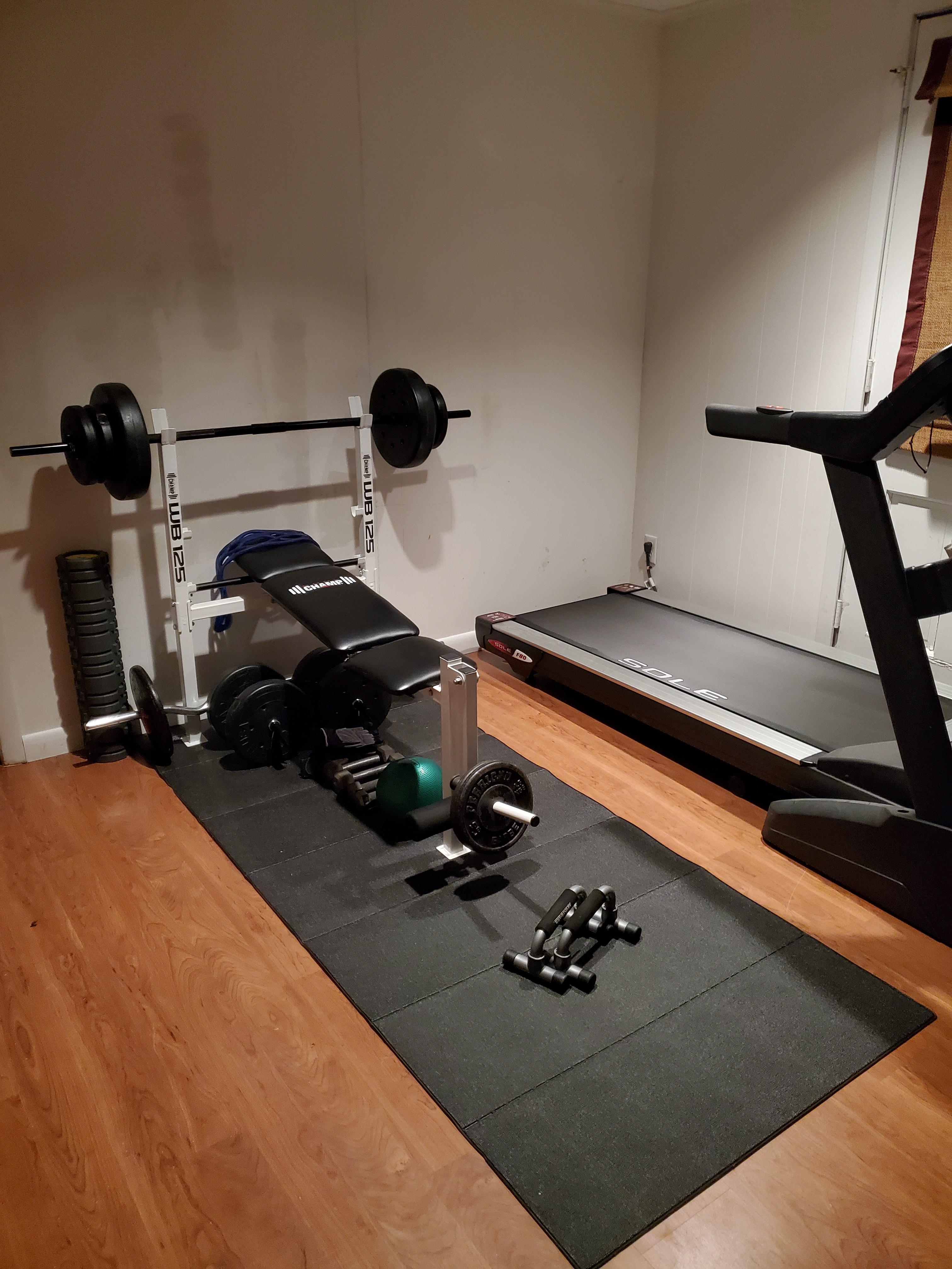This'll have to do until gyms reopen r/homegym