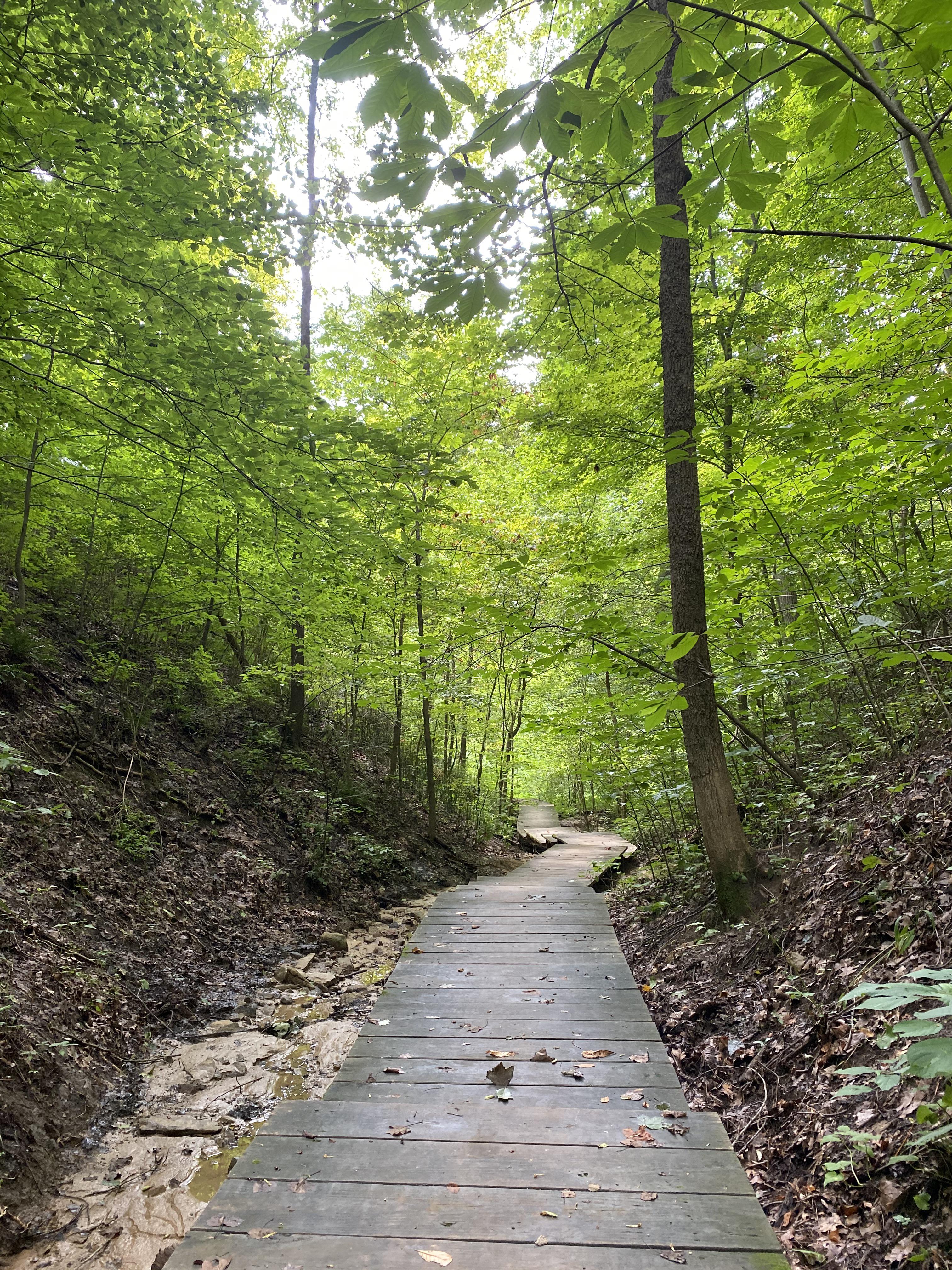 California Woods r/cincinnati