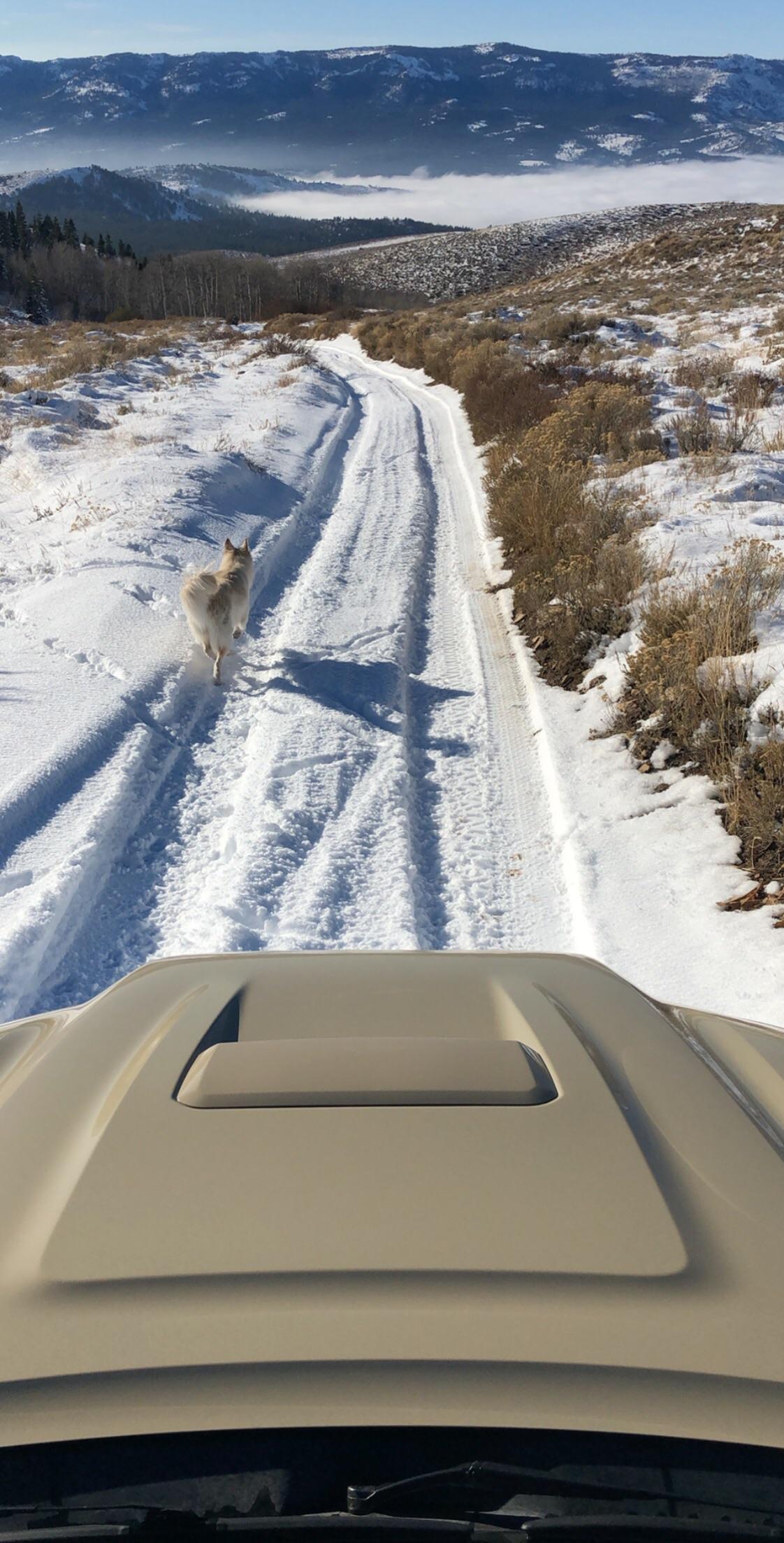 Nevada California border