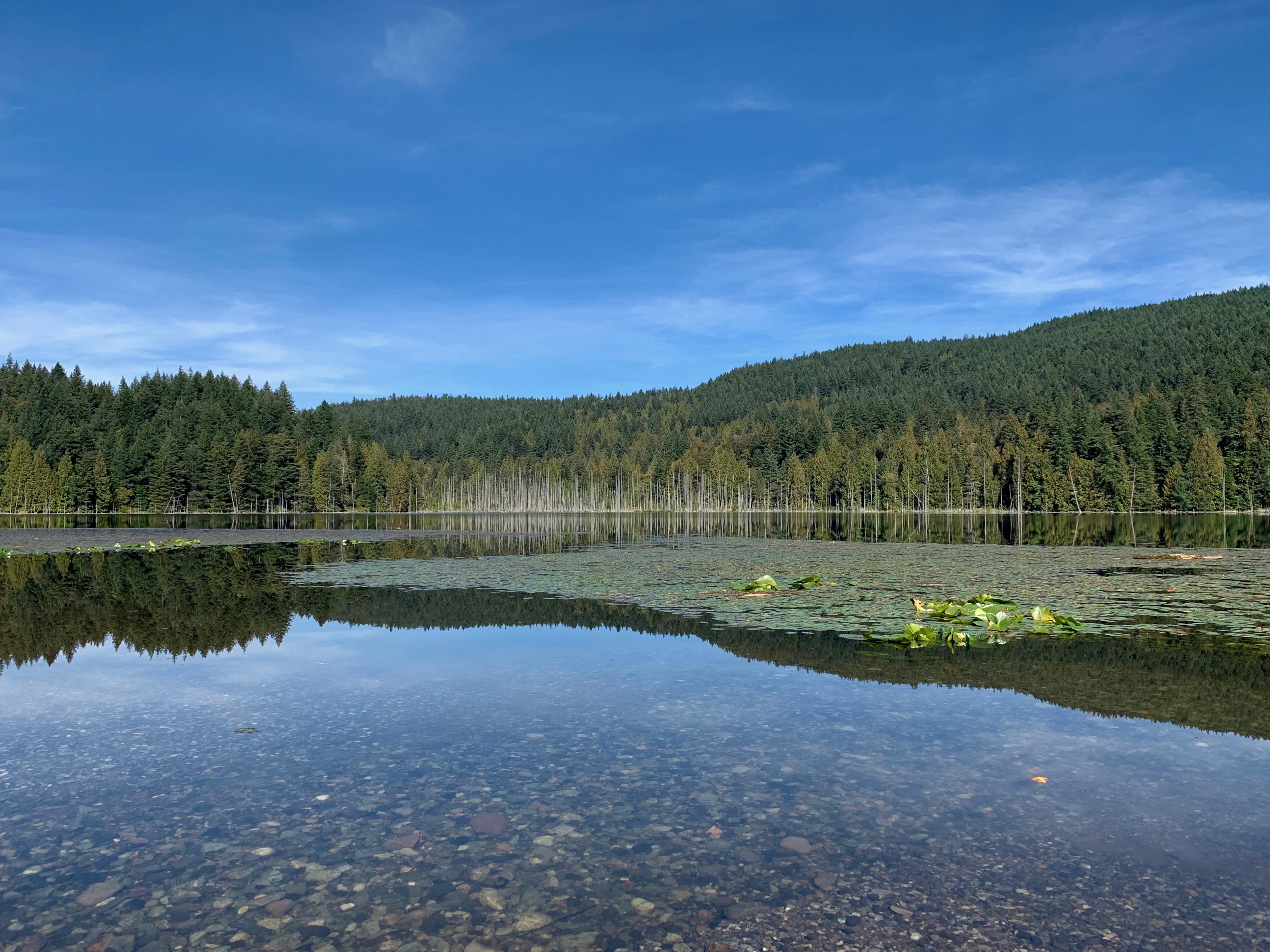 The calm waters of Killarney Lake, Bowen Island, BC [OC] [3966x2974