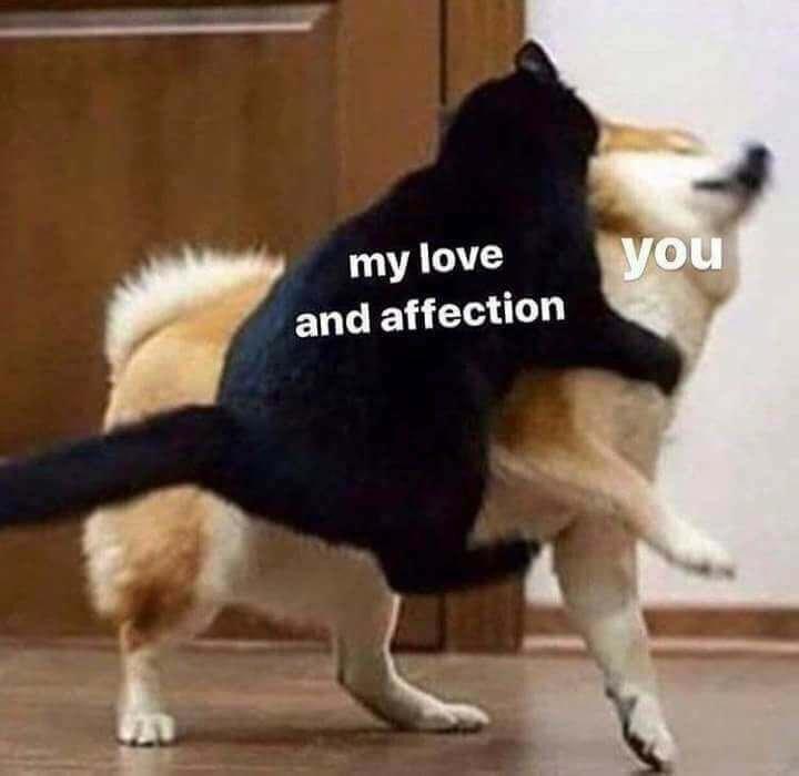 Im here for you r/wholesomemes