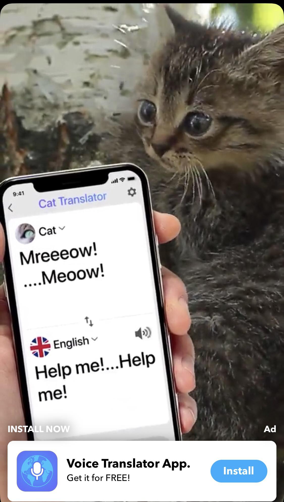 This ad claiming they can translate cat talk assholedesign