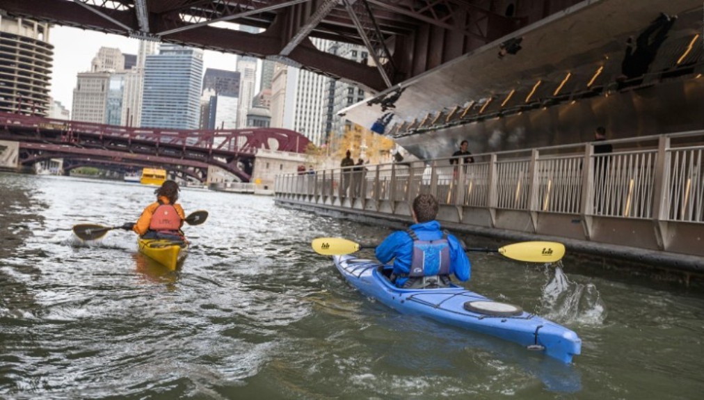 Kayaking downtown Chicago r/pics