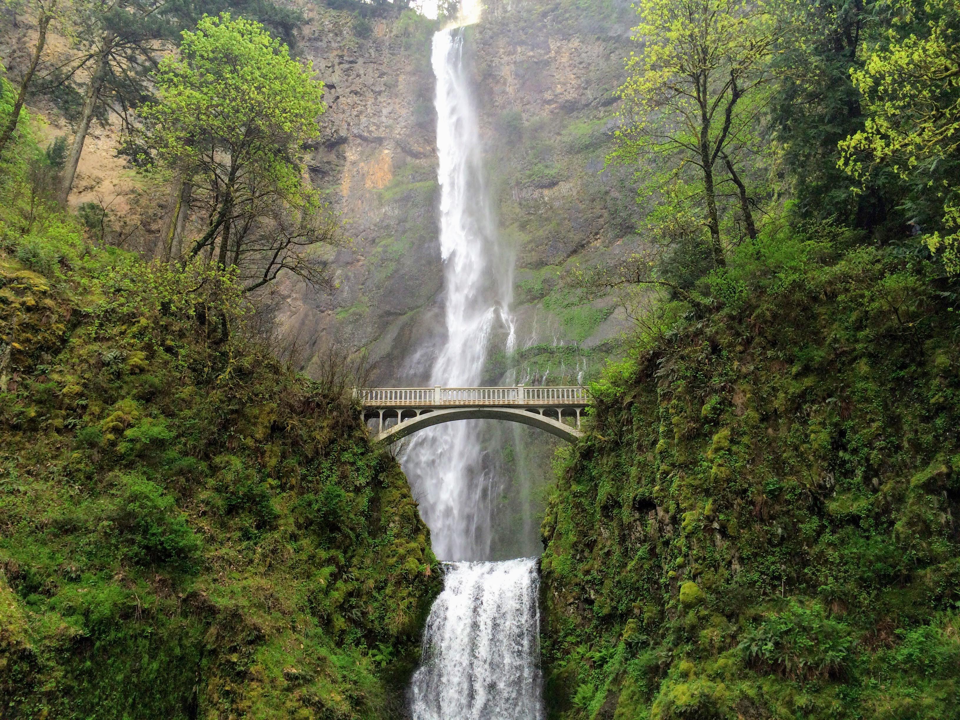 Multnomah Falls Pedestrian Bridge in Oregon. [OC]. Many great trails