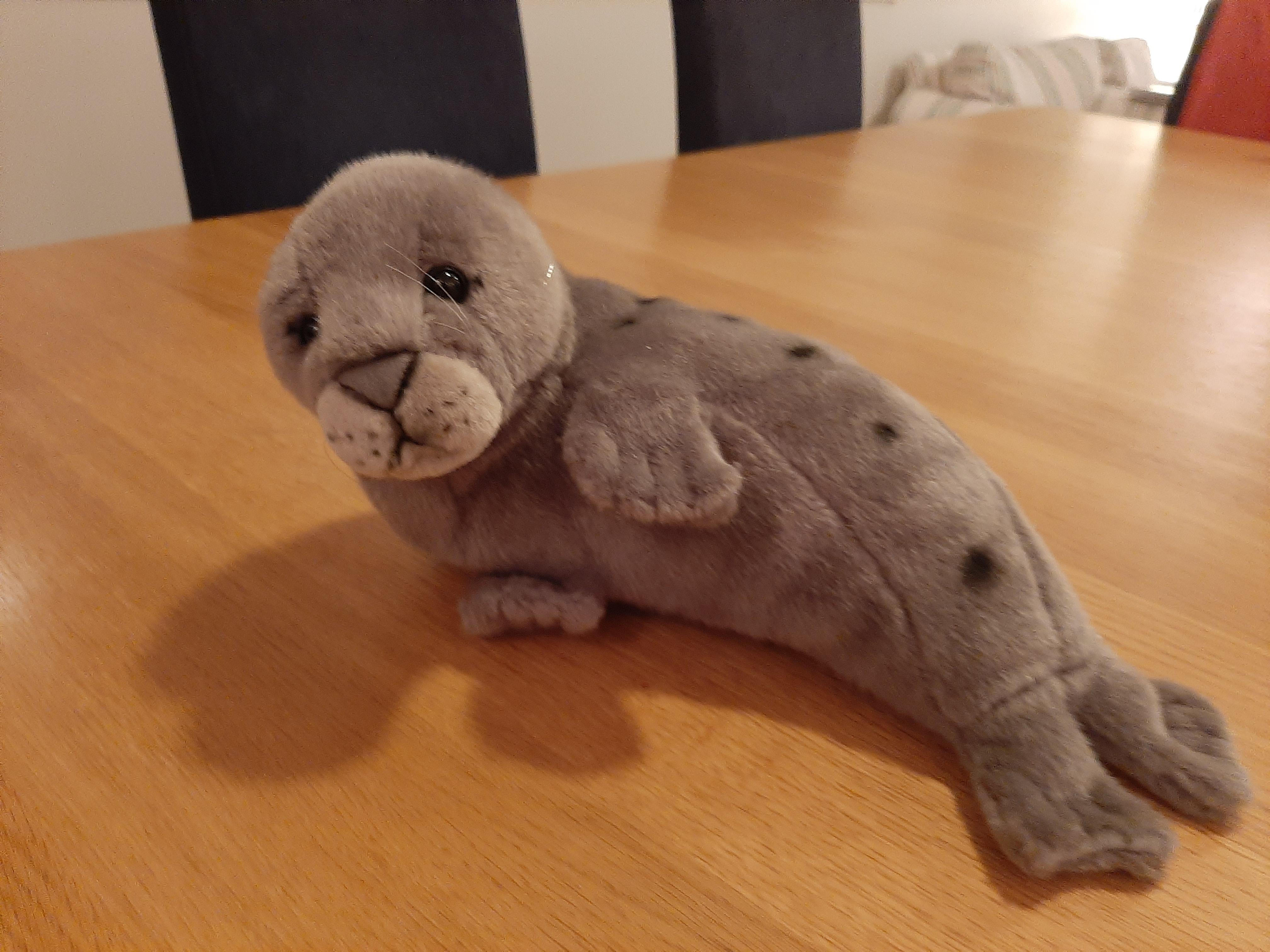 Bought this adorable stuffed saimaa ringed seal toy. r/seals