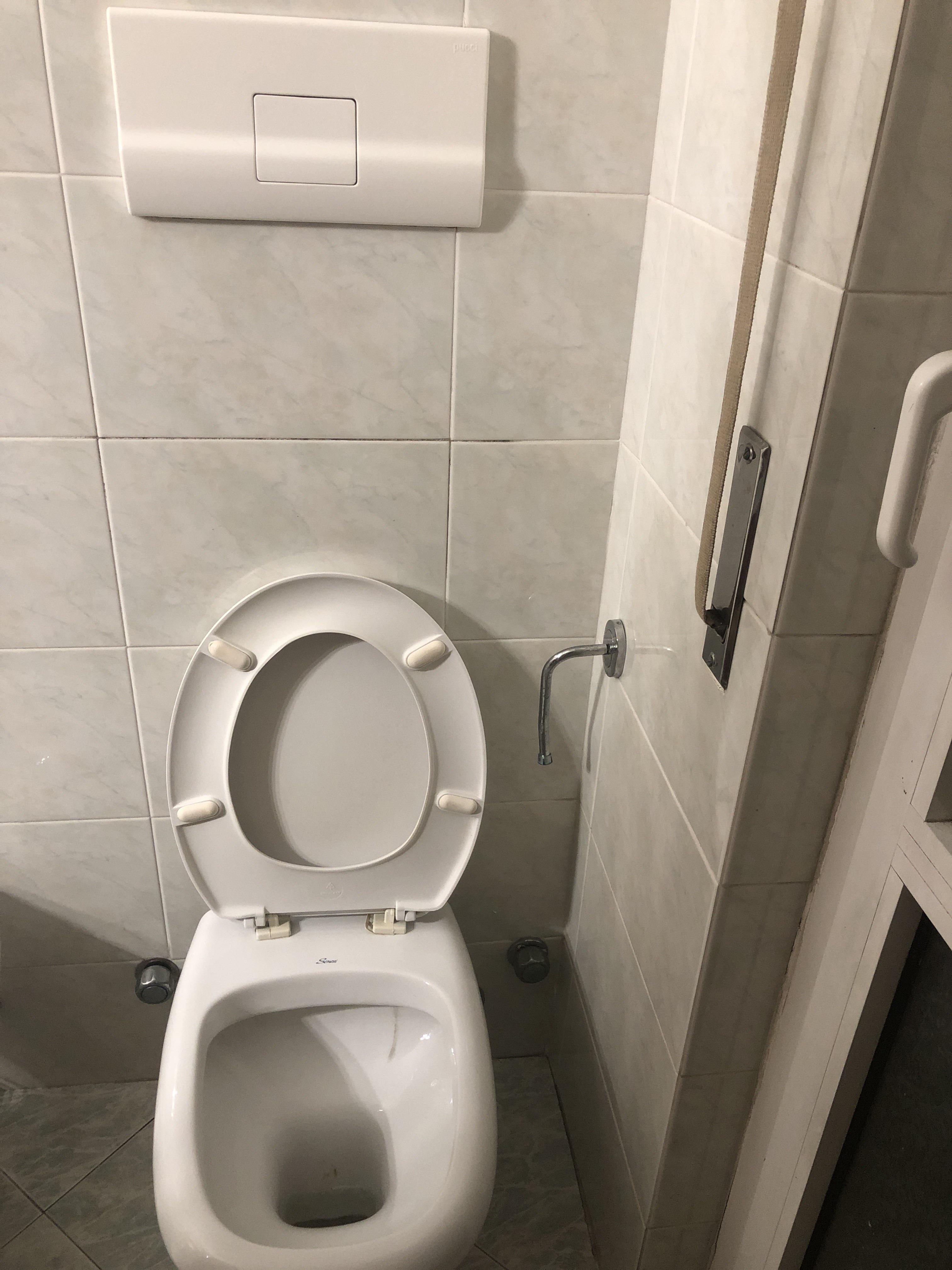 European toilet (Italy) how do I raise the water level in the bowl? r