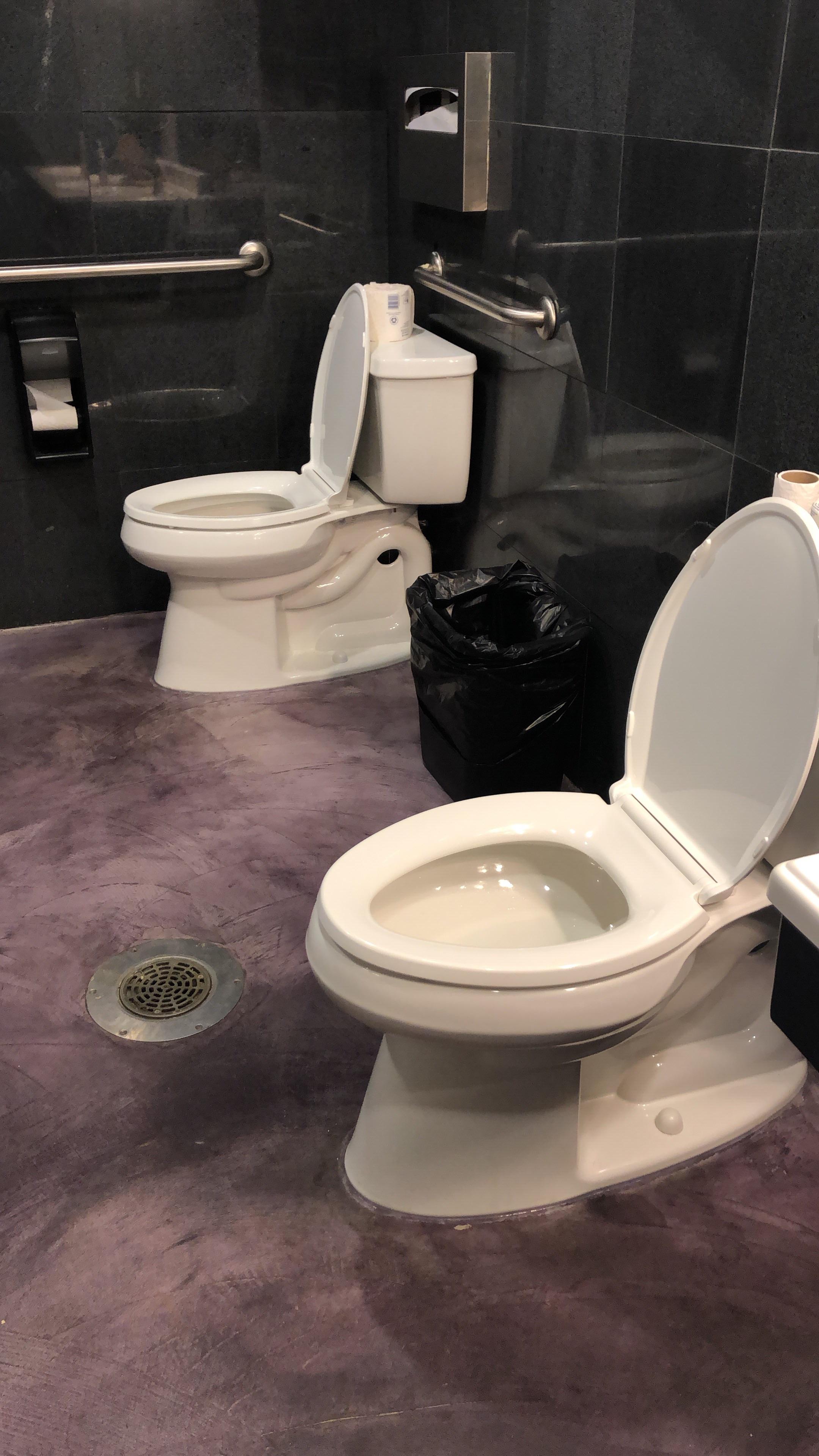 Two toilets one bathroom r/CrappyDesign