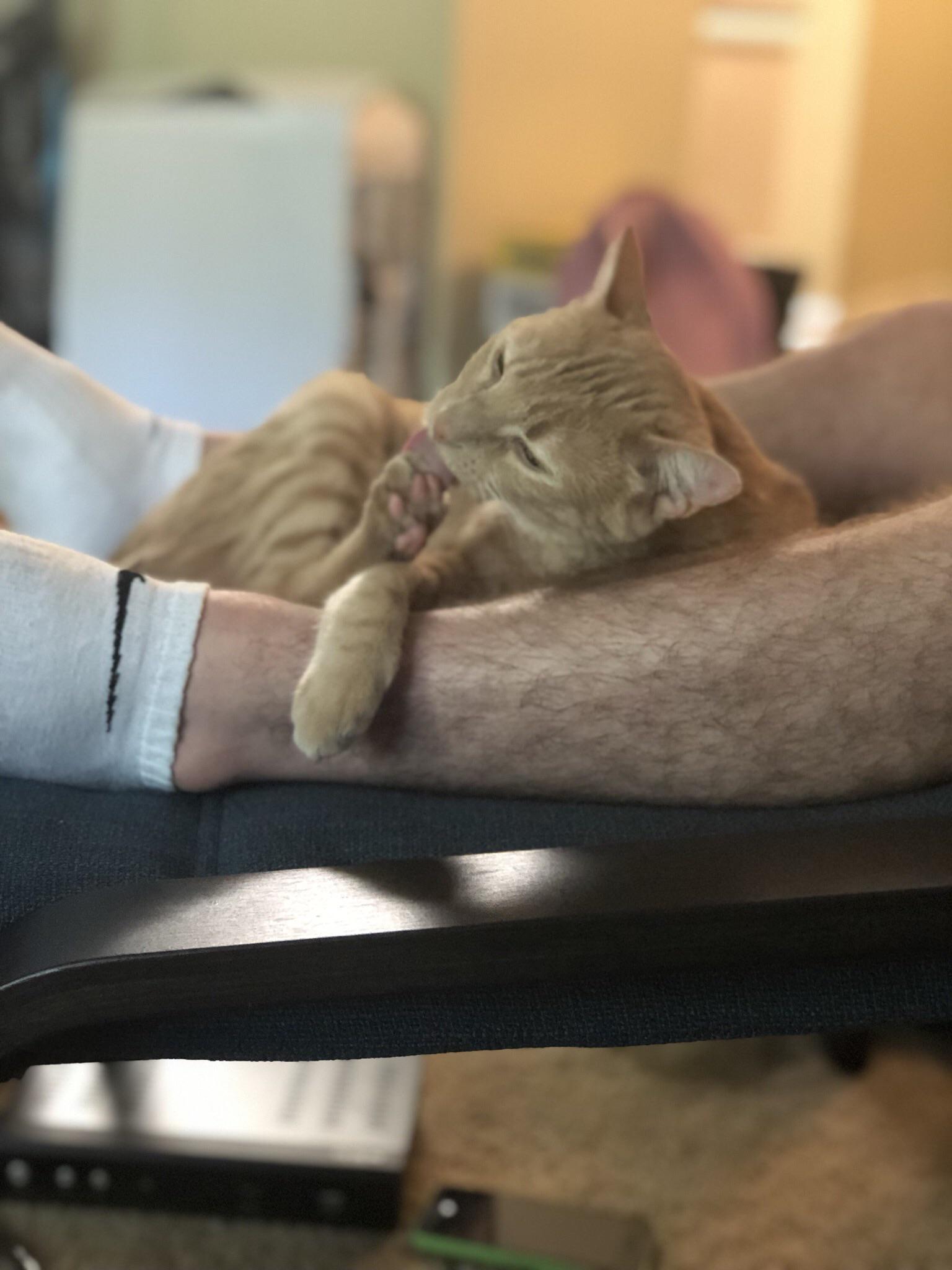 Beans beans the magical fruit, the more you eat the more you toot! r