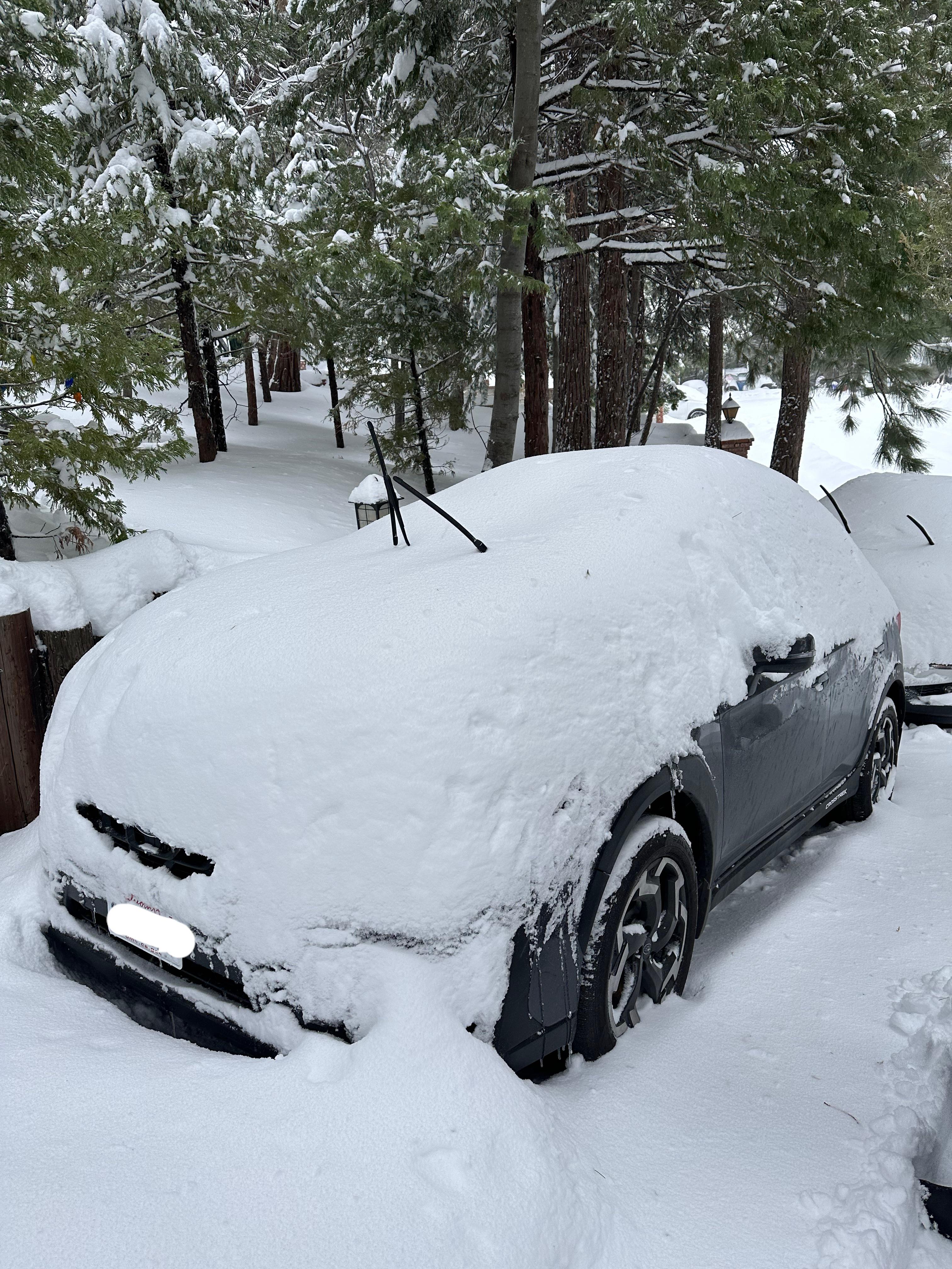Little blizzard in Lake Arrowhead, CA! First snow with my brand new