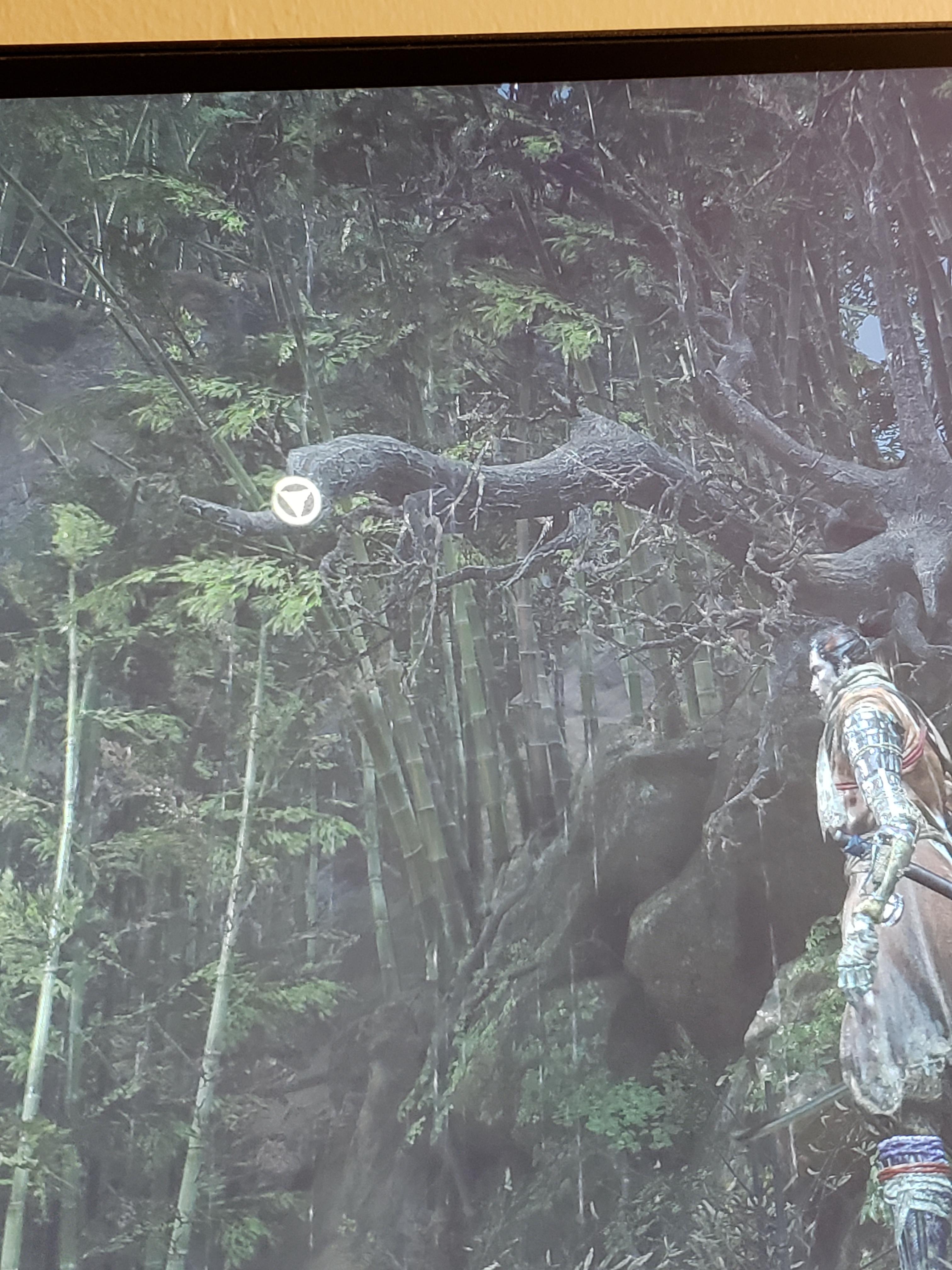 What does the triangle grapple icon mean when it's on a branch? Sekiro