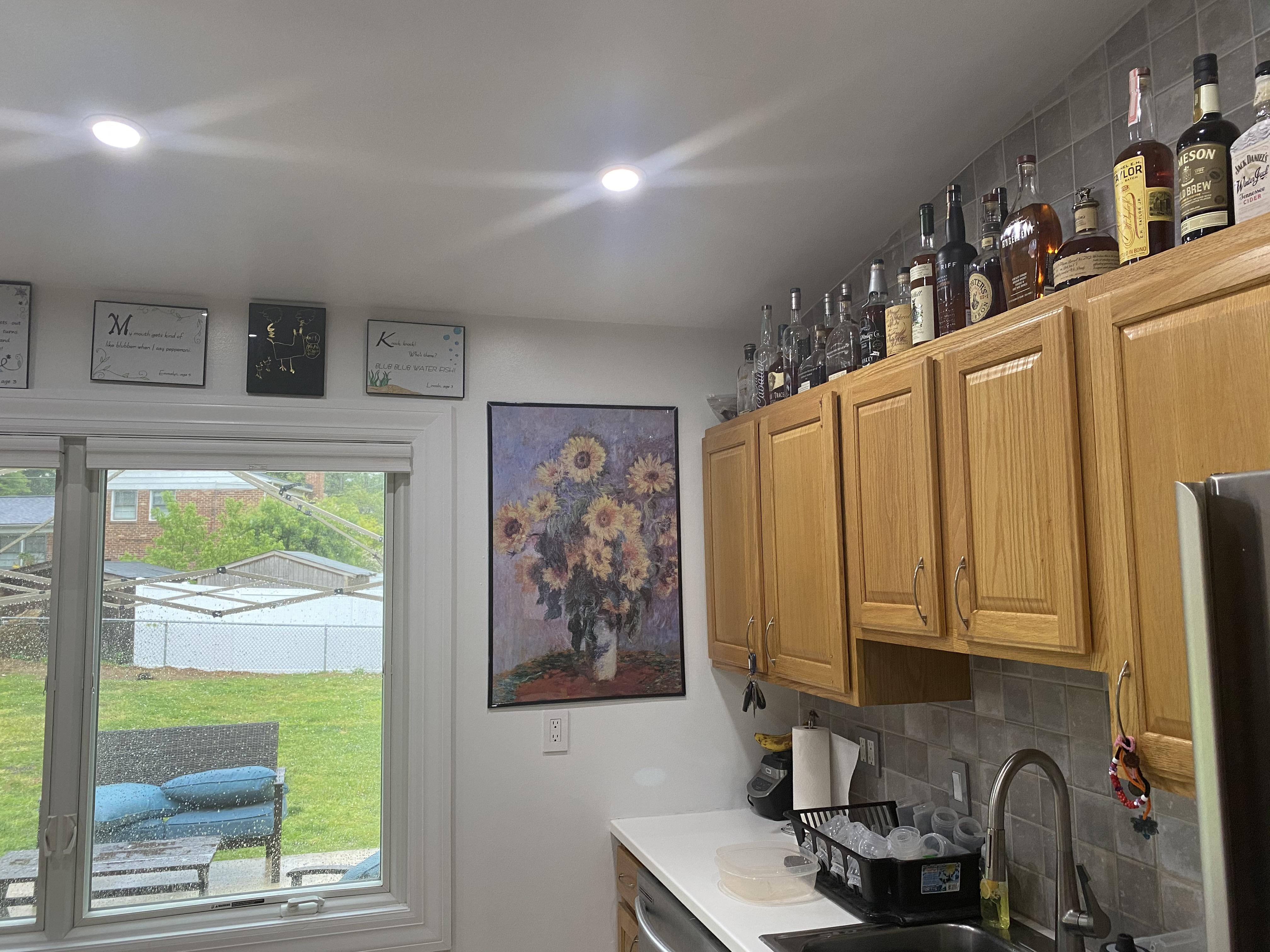 Question about indirect sunlight. Bottles are below the window line and