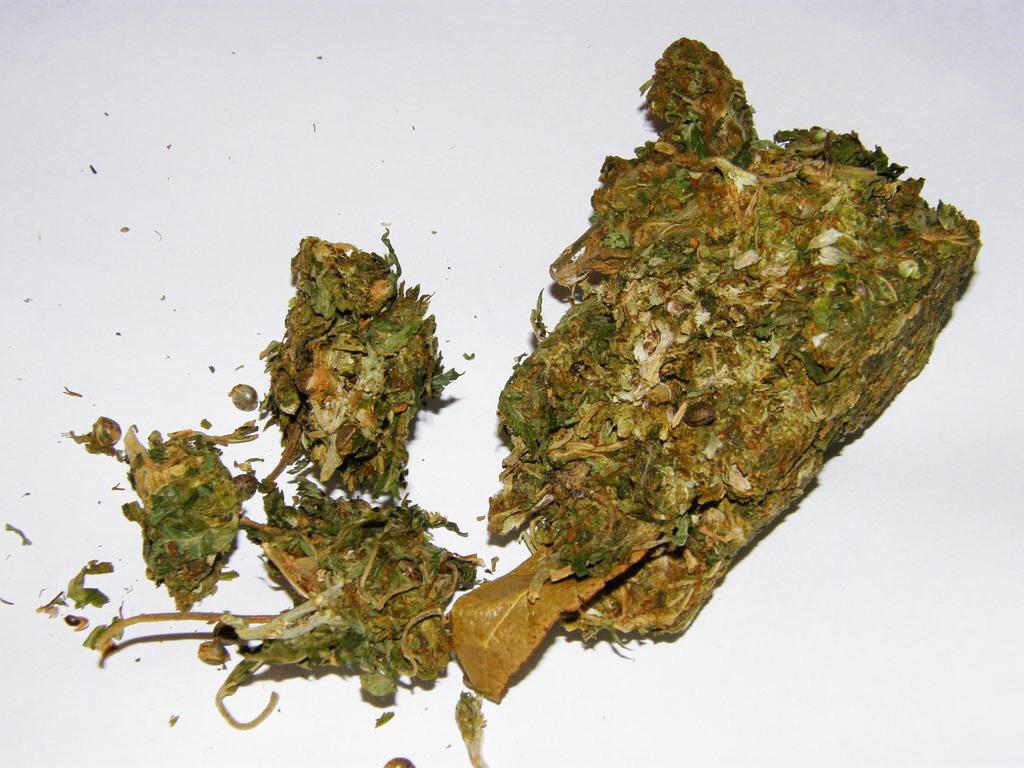 A pic from back when weed came in bricks. r/trees