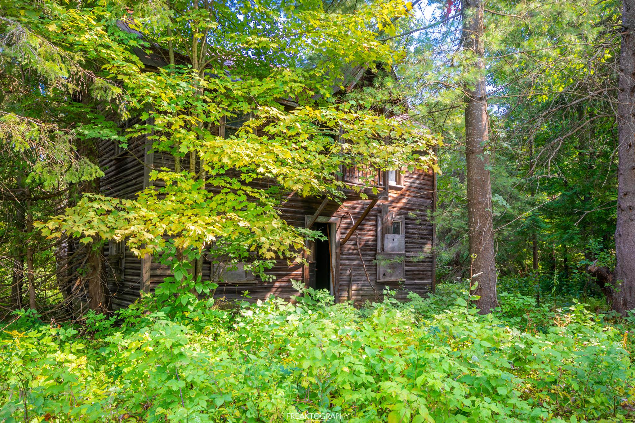 Abandoned Home in the Woods r/cottagecore