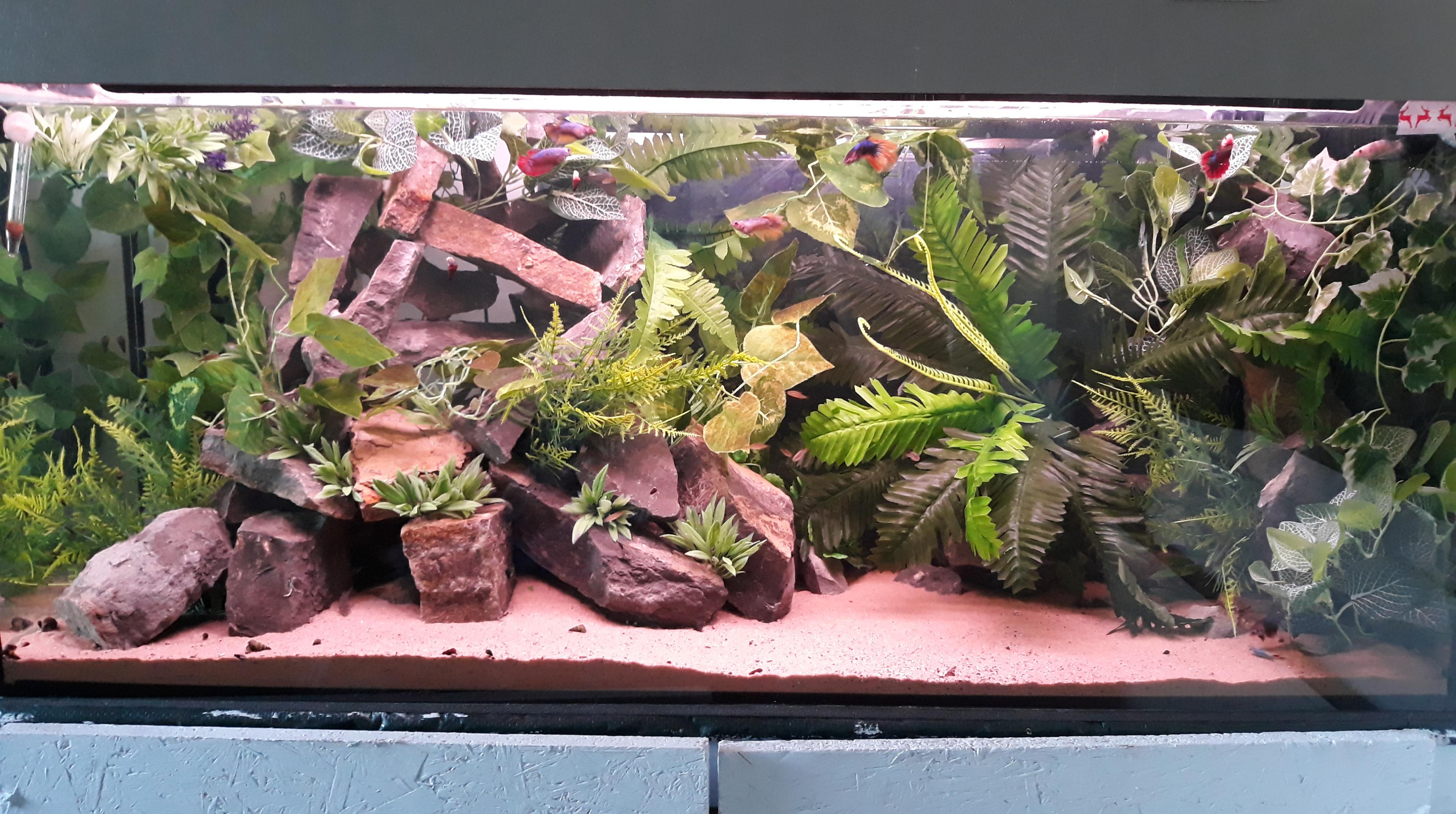 100 artificial plants and I'm loving it r/Aquariums
