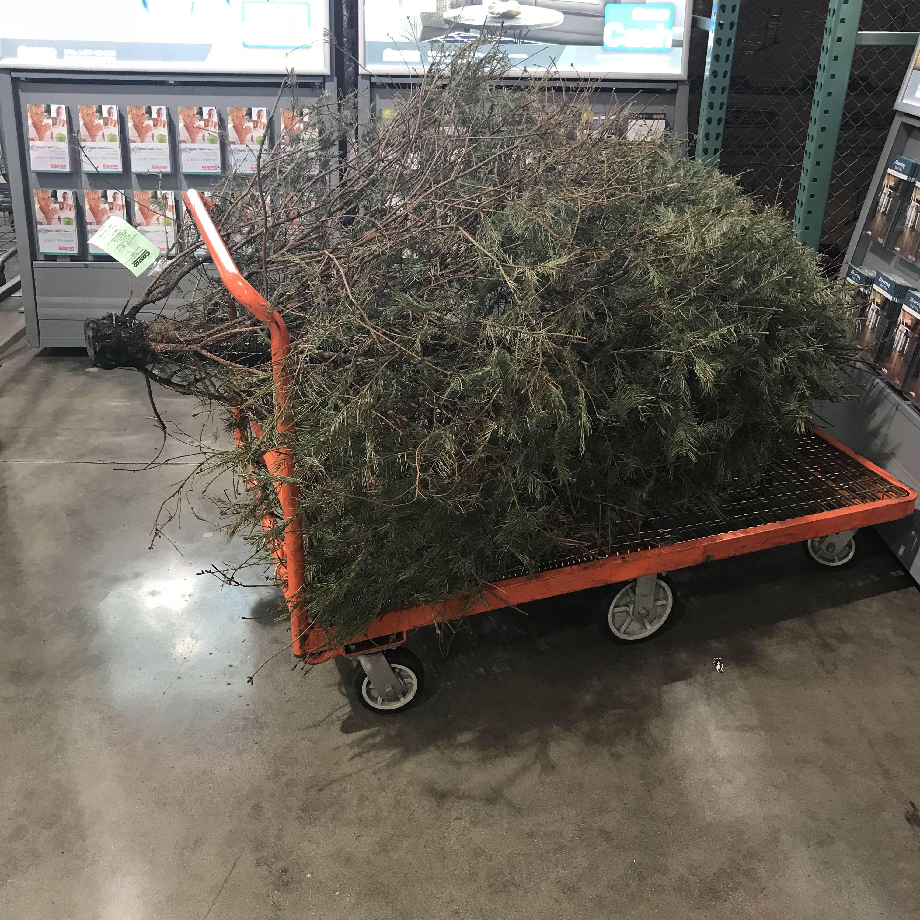 Late applicant for Asshole Of The Year is this dude who returned a live