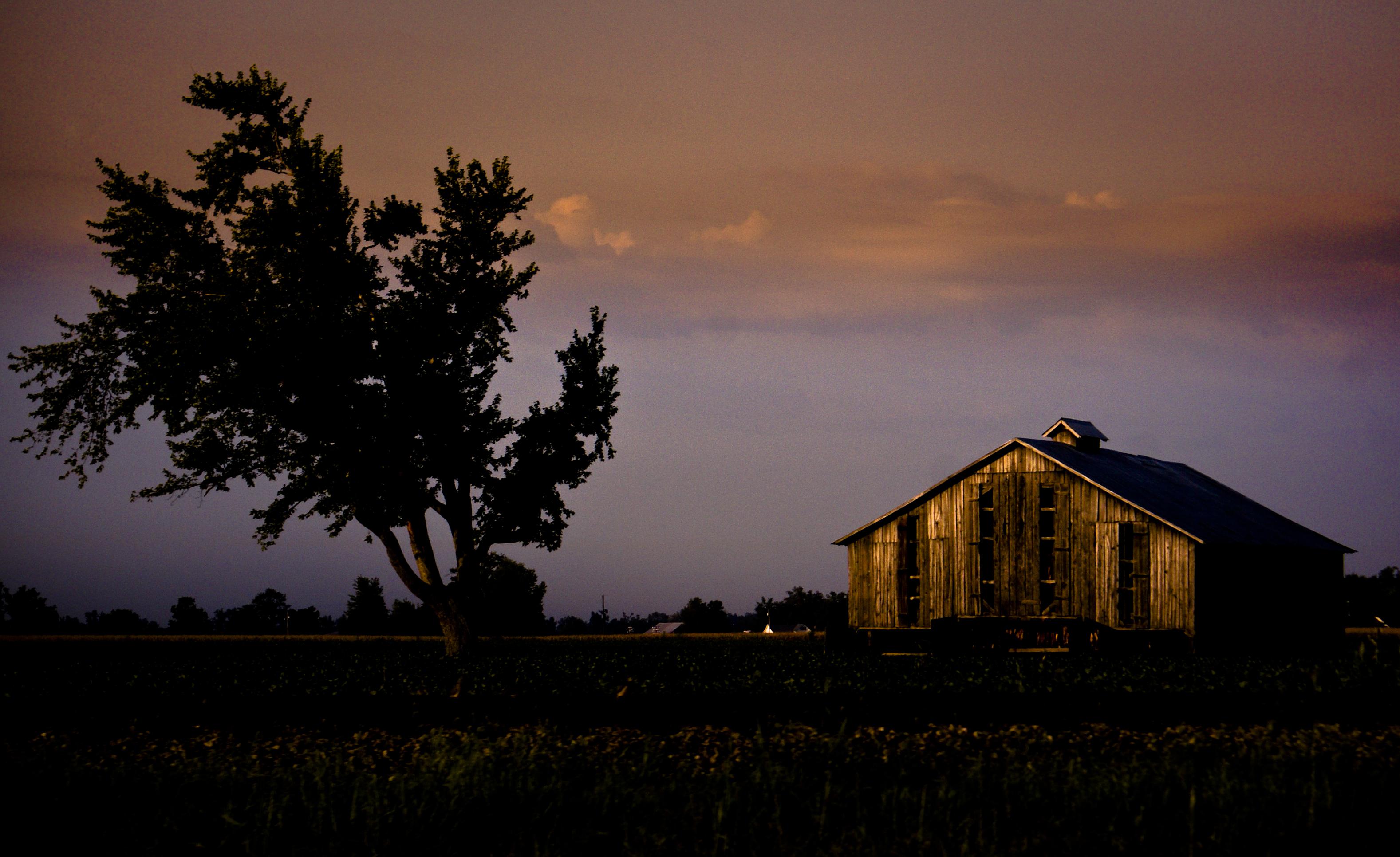 Morning Barn, Rural Kentucky r/pics
