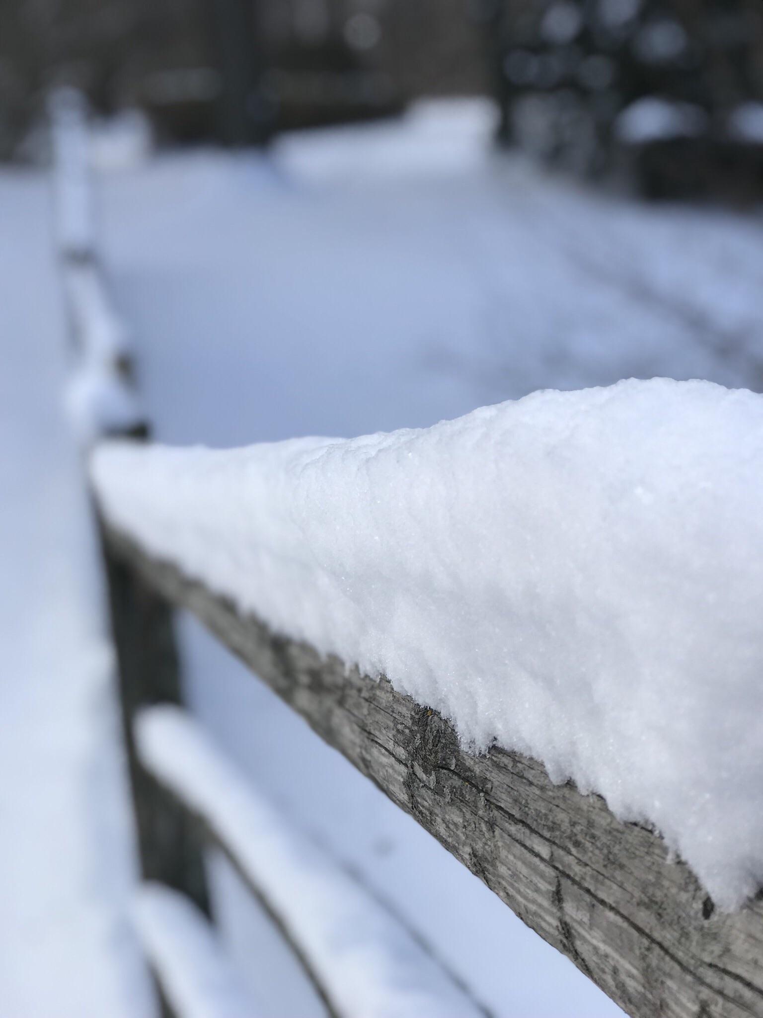 Untouched morning snowfall in Farmington Hills, Michigan r/Michigan