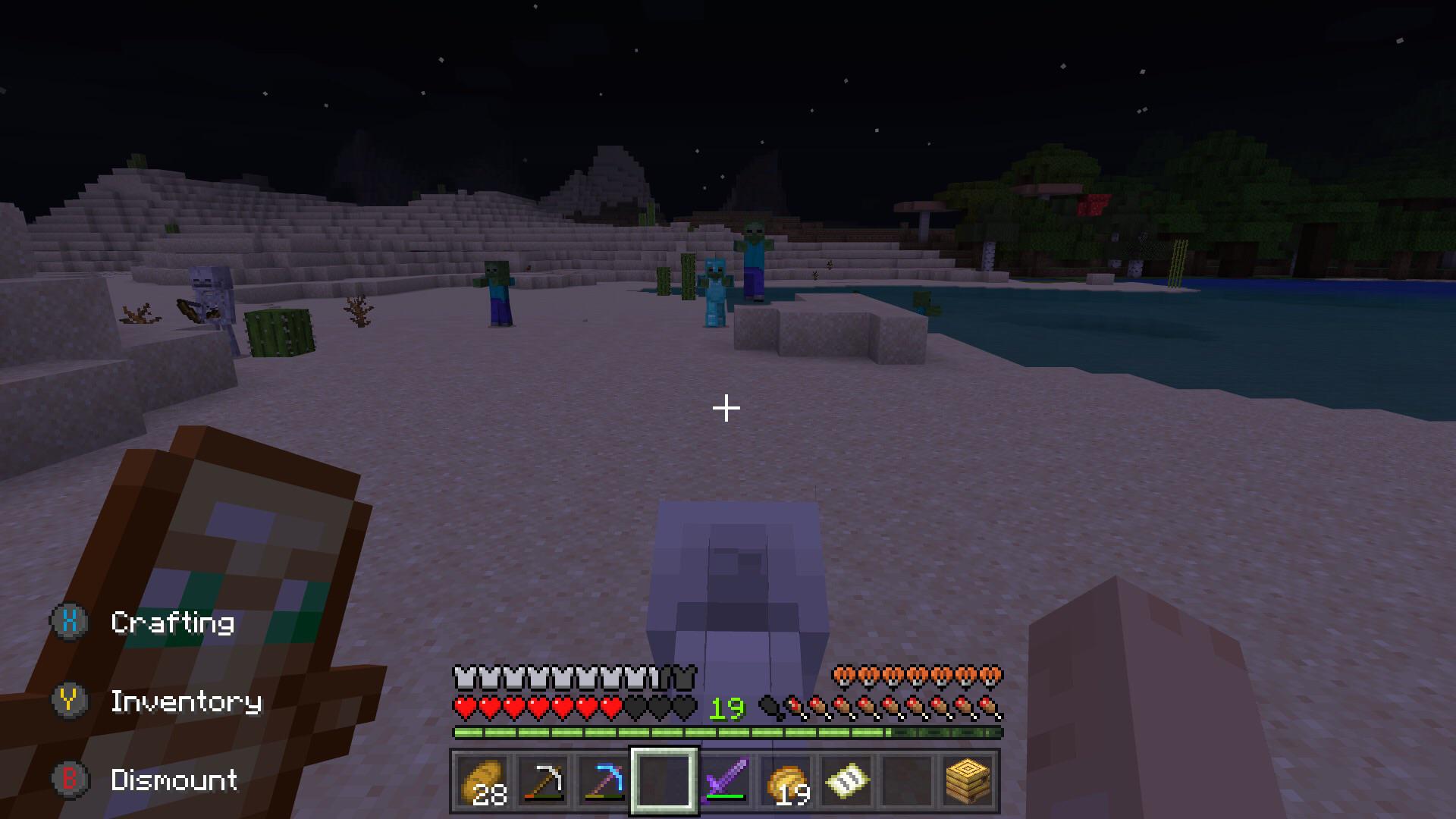 Minecraft Skeleton Horse Armor