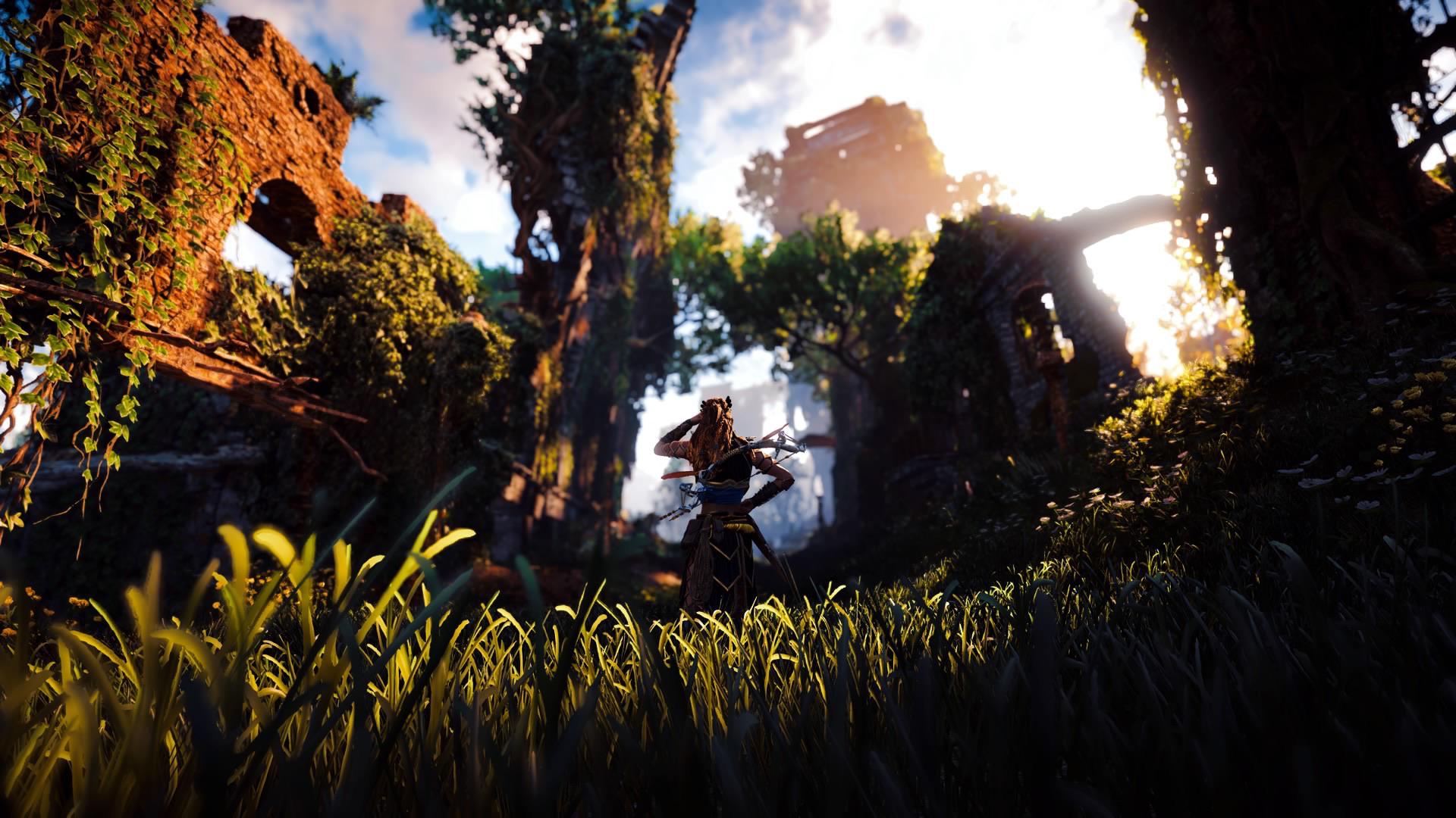 Horizon photo mode 📸🌿 r/horizon