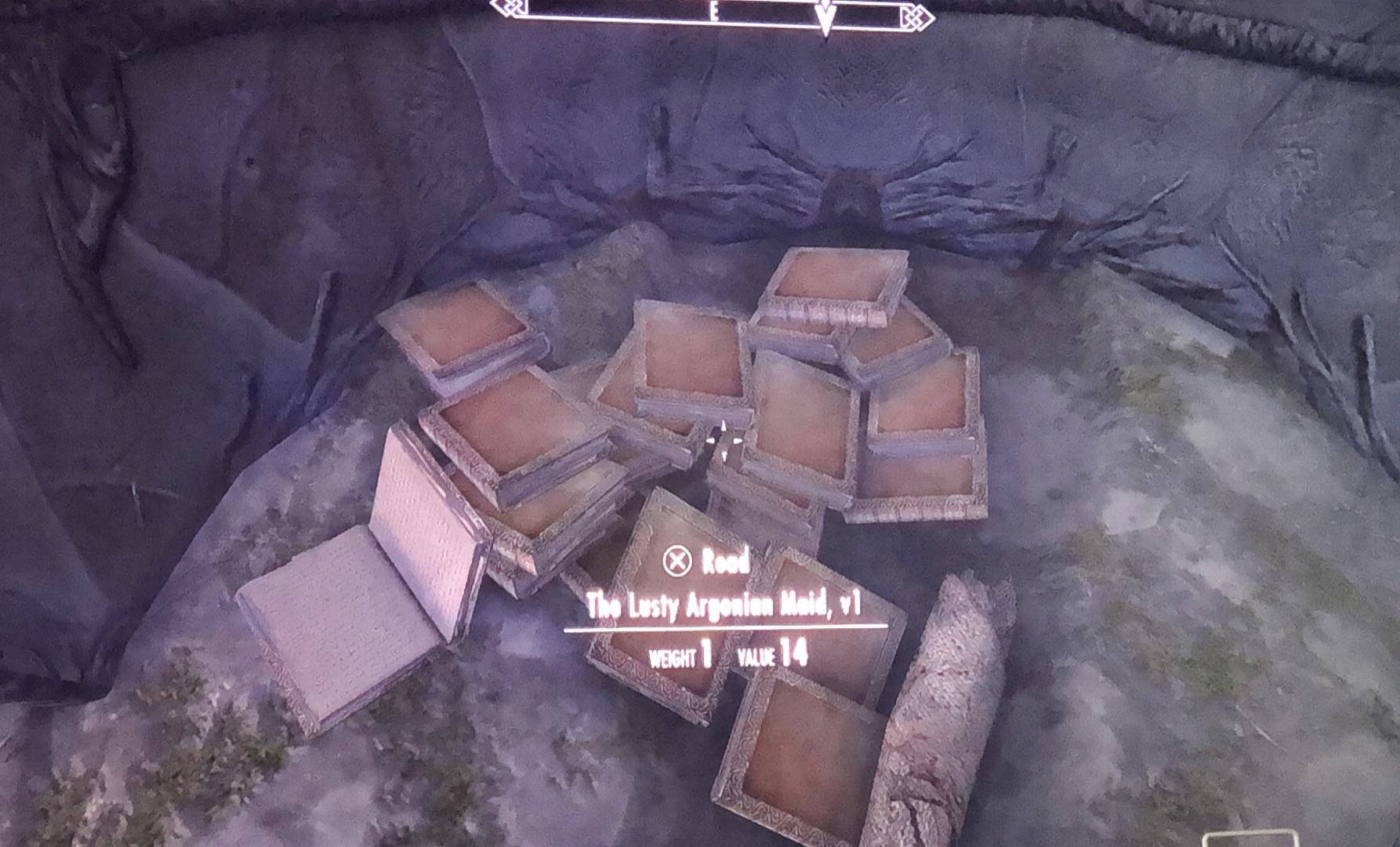 Found this pile of books in a solstheim cave. They’re all the same… r