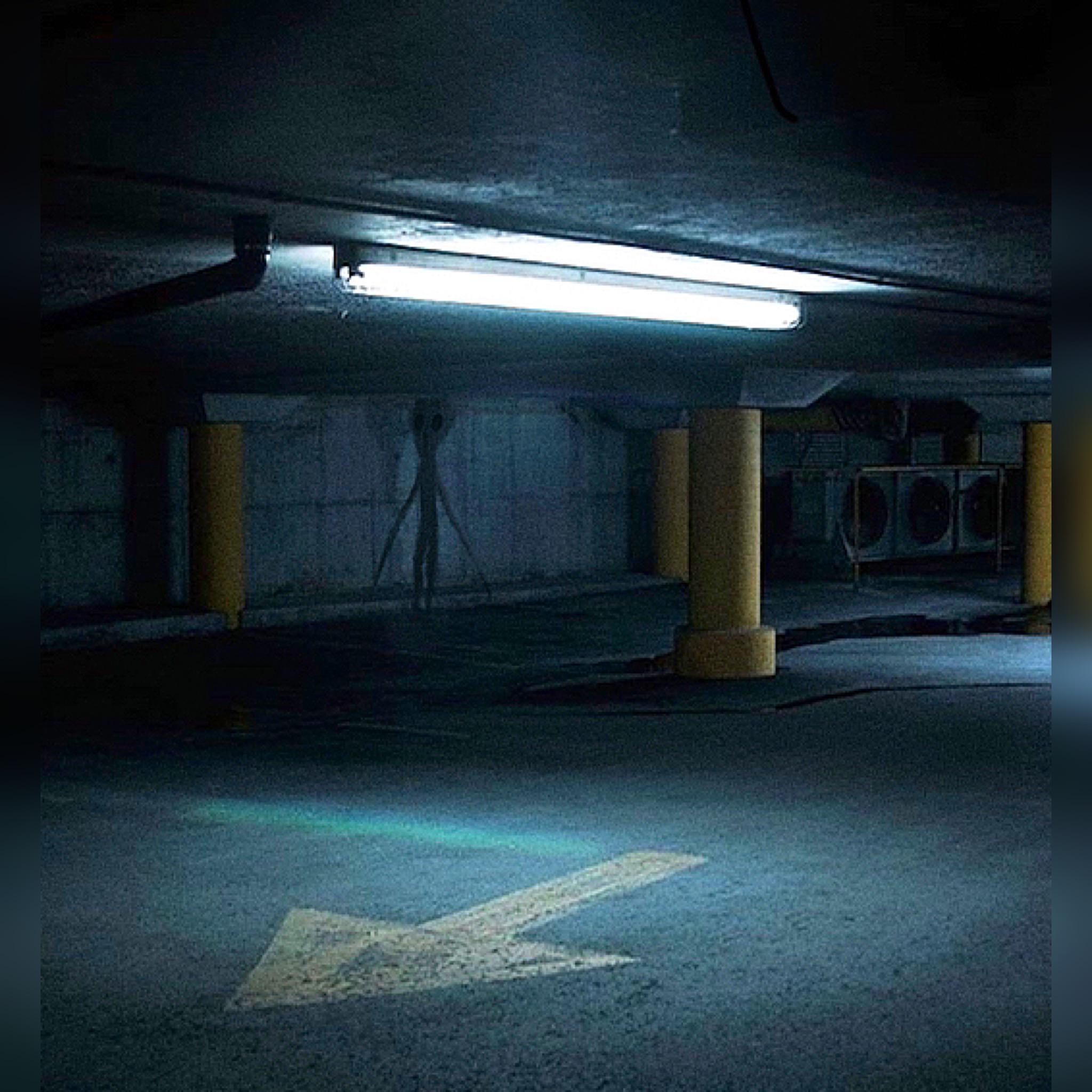 Why no one uses the old parking garage anymore. r/TrevorHenderson